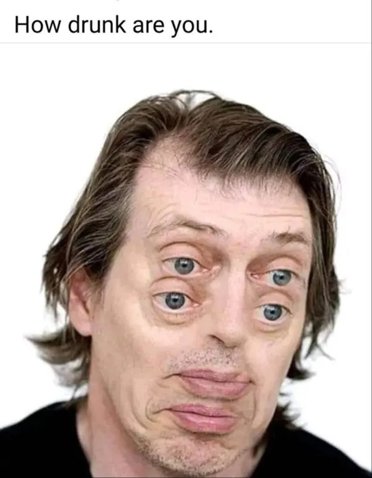 steve buscemi eyes - How drunk are you.