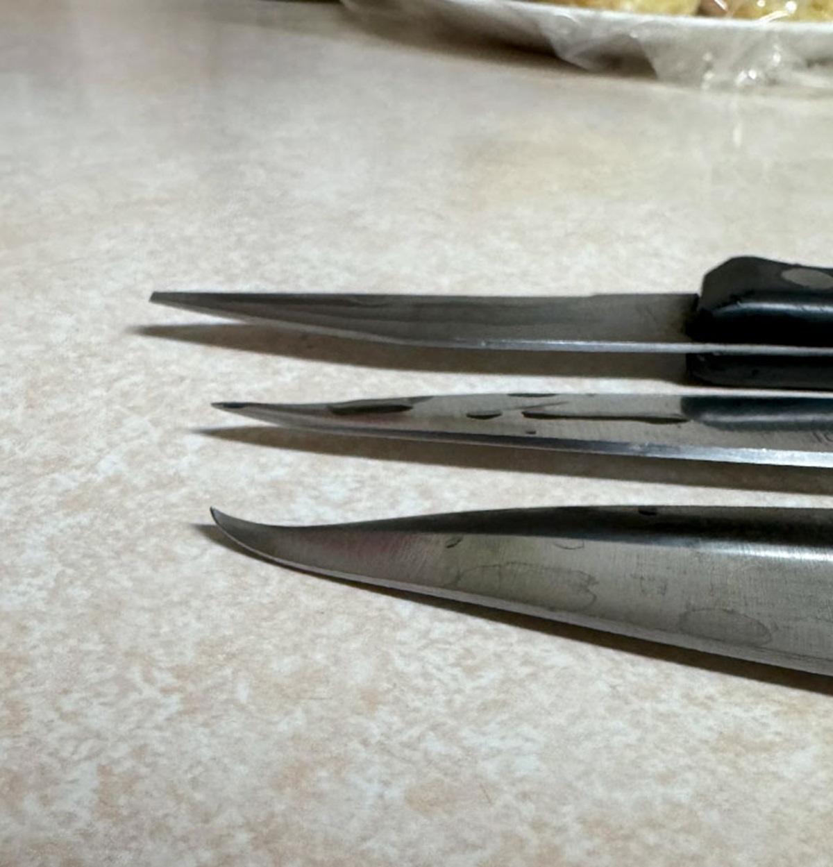 Girlfriend’s Family Friend Stayed With Us For A Few Days To Help Take Care Of Her Grandmother. This Is What She Did To Our Knives