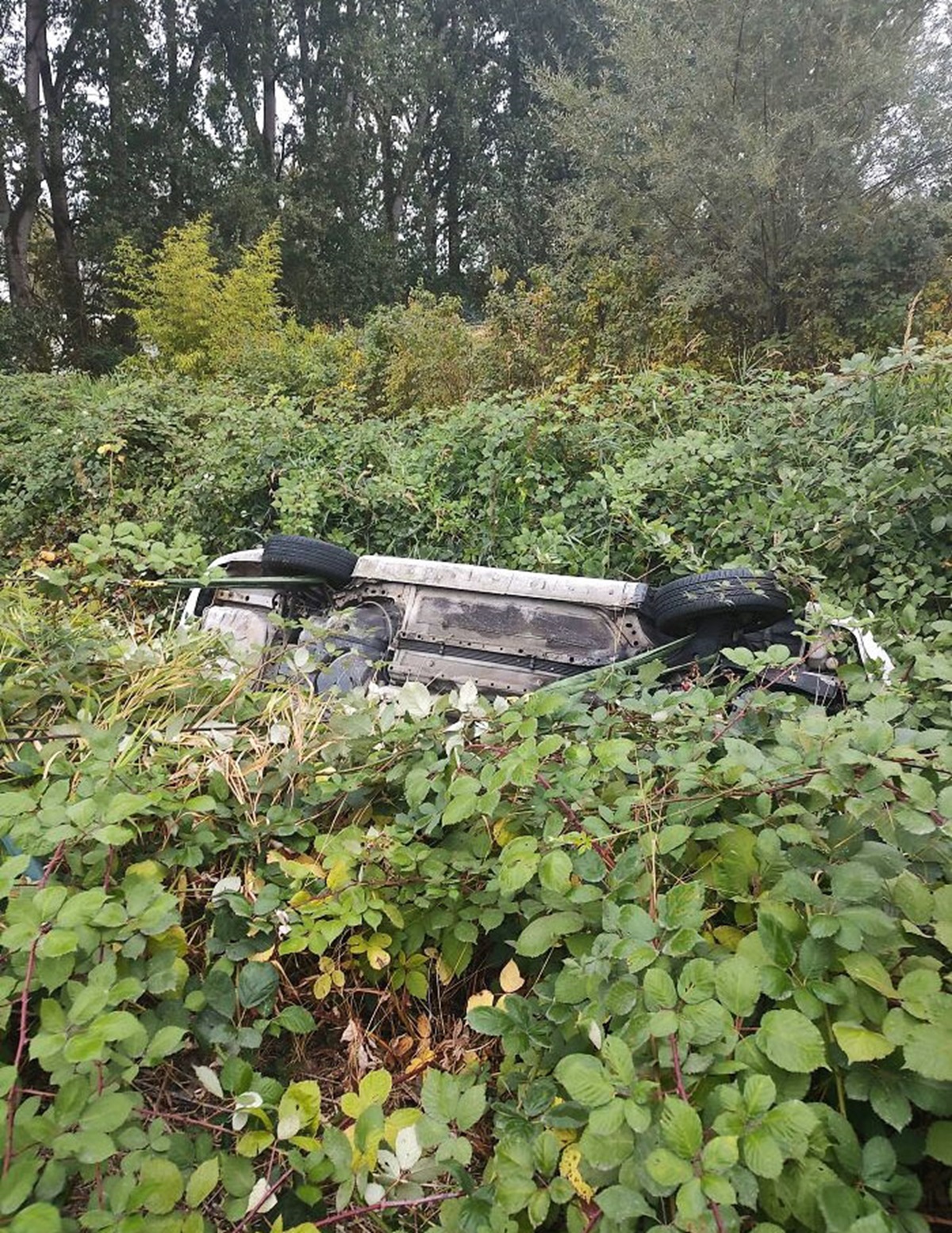 My Now Ex-Friend Rolled My 2-Week-Old Car Into A Ditch And Fled The Scene