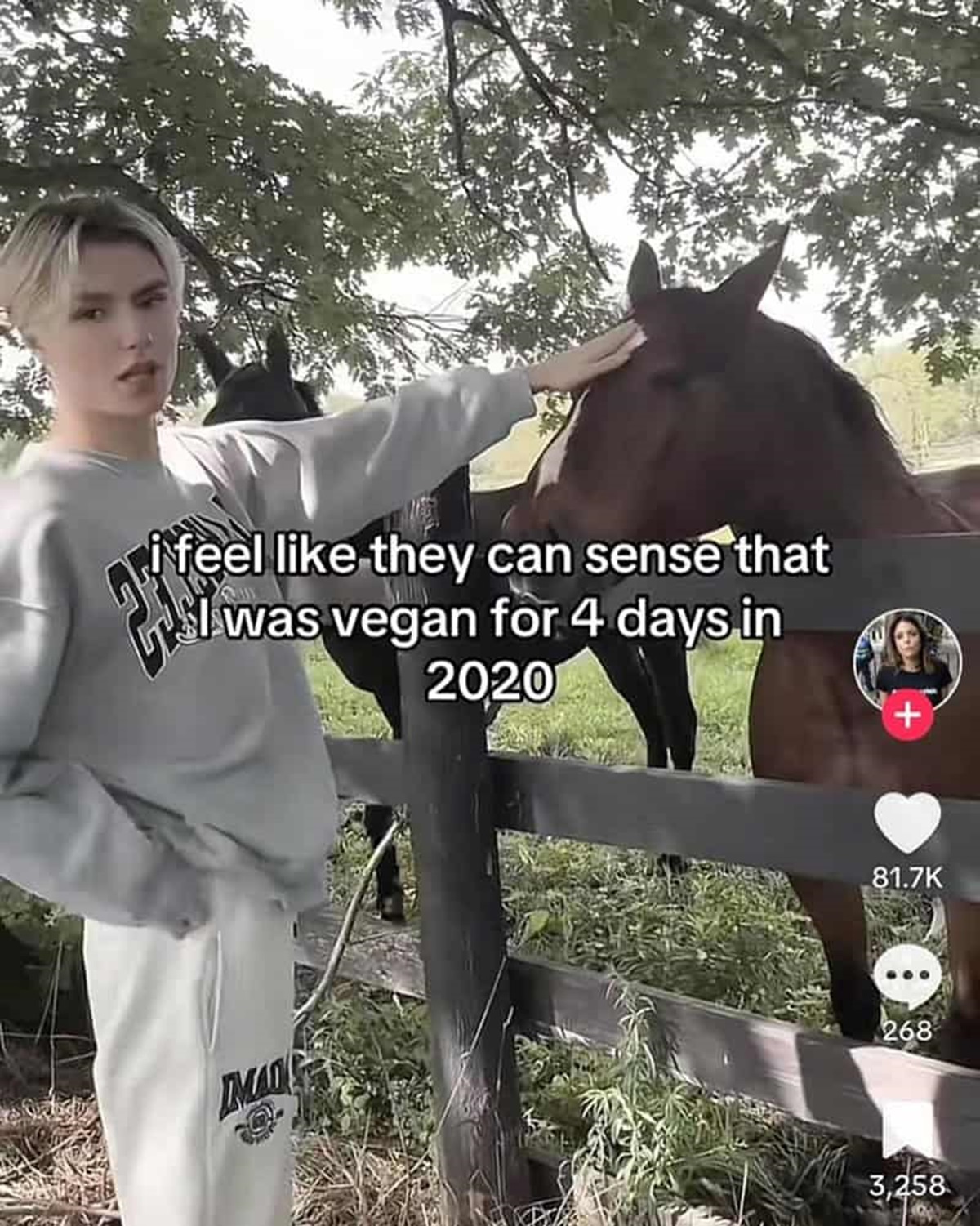 stallion - i feel they can sense that I was vegan for 4 days in 2020 Dmad 268 3,258