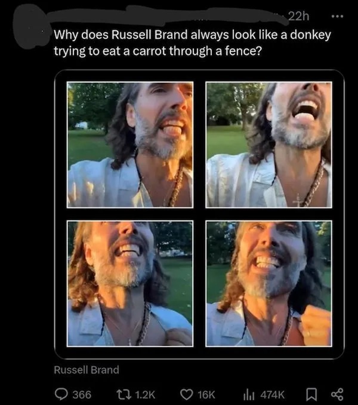 photo caption - 22h Why does Russell Brand always look a donkey trying to eat a carrot through a fence? Russell Brand 366 16K lil