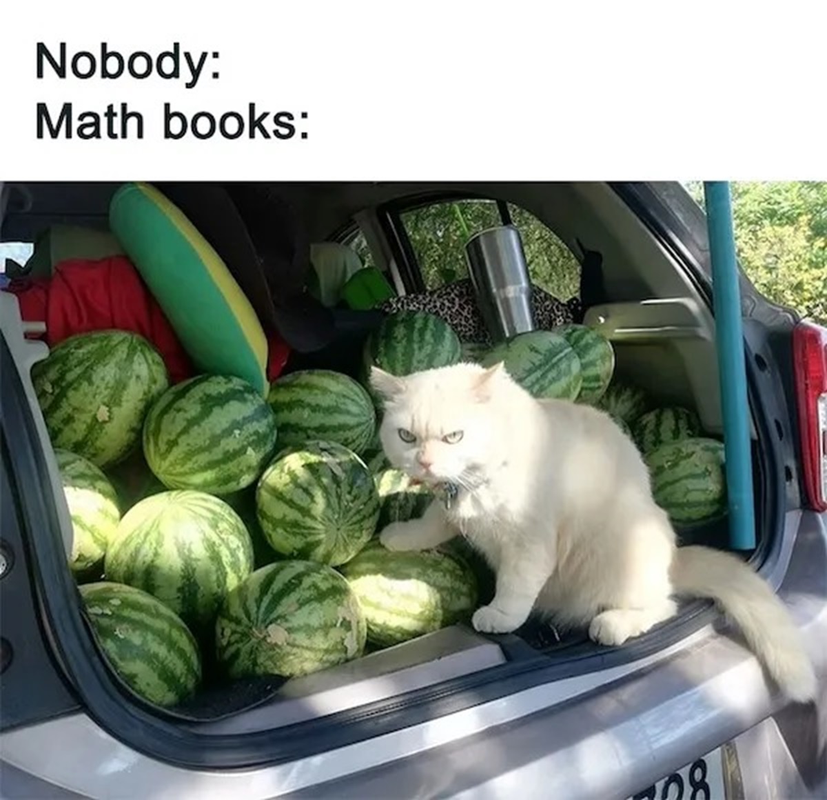 Nobody Math books 108