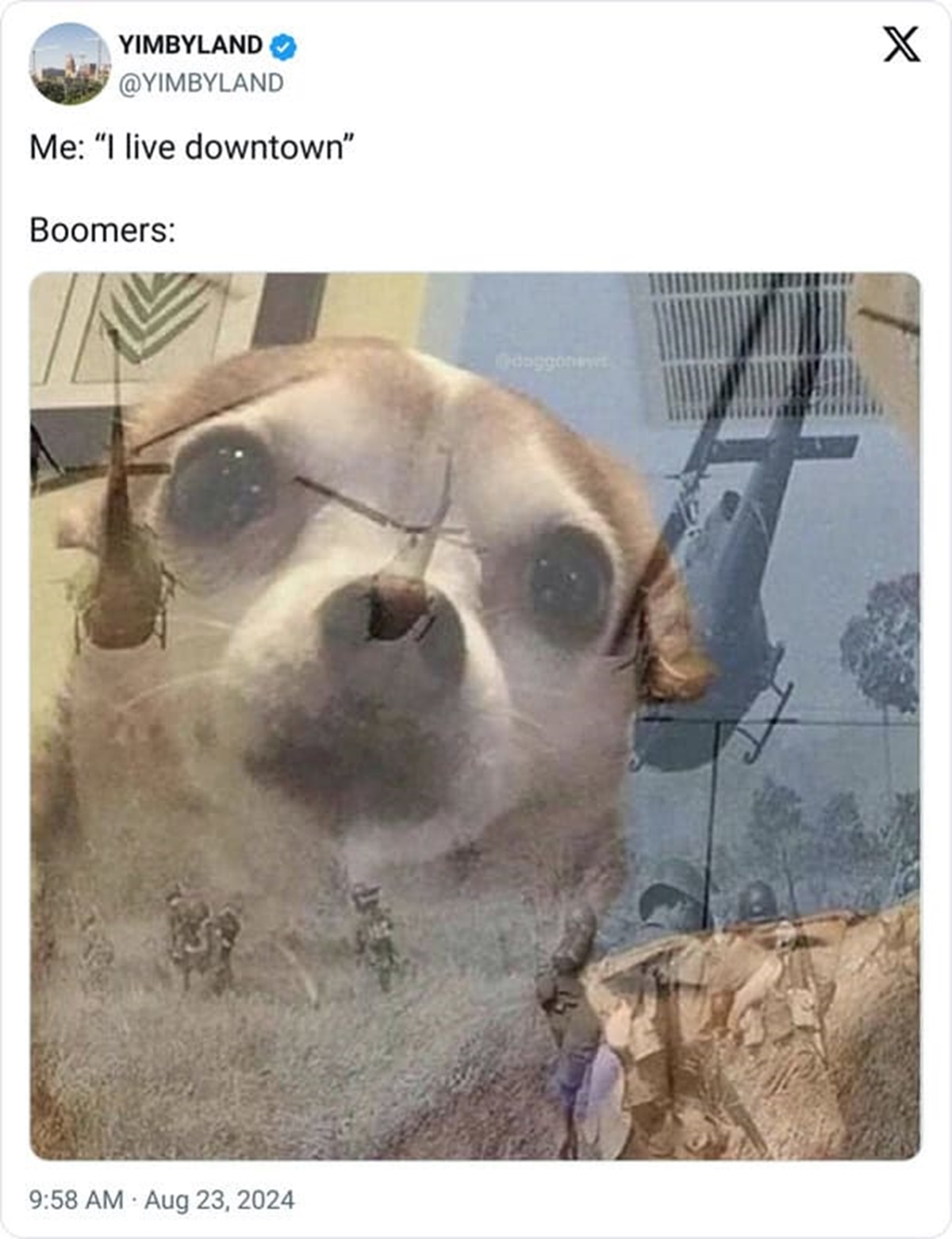 chihuahua ptsd meme - Yimbyland Me "I live downtown" Boomers X