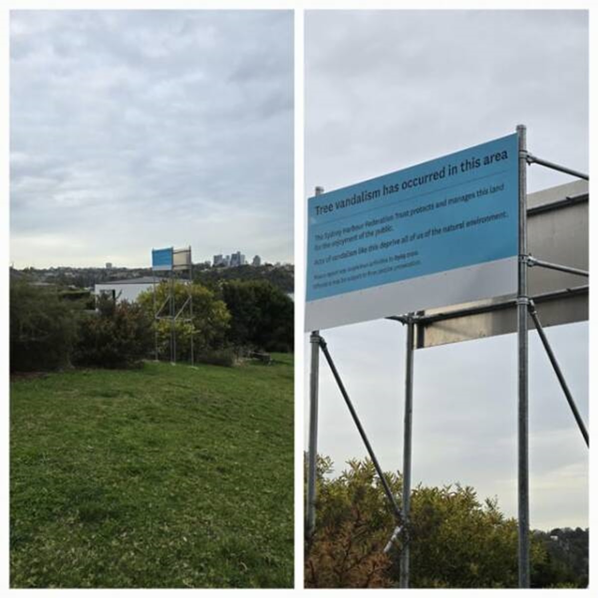 "Someone chopped down a tall tree to get a better view of Sydney harbour so the put up a tall sign where it once was to block the view."