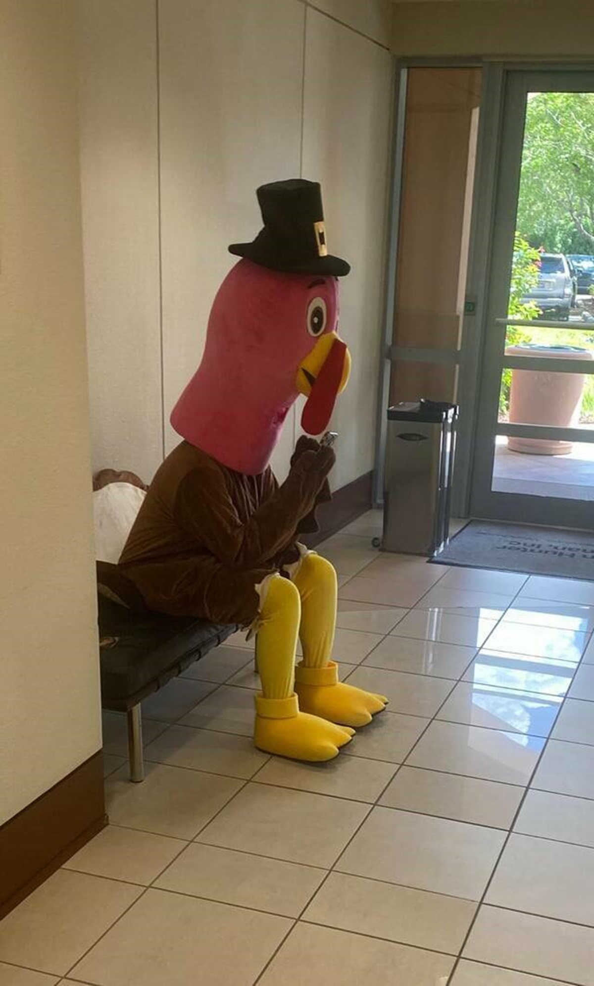 "There is a turkey playing on his phone in the lobby at work."