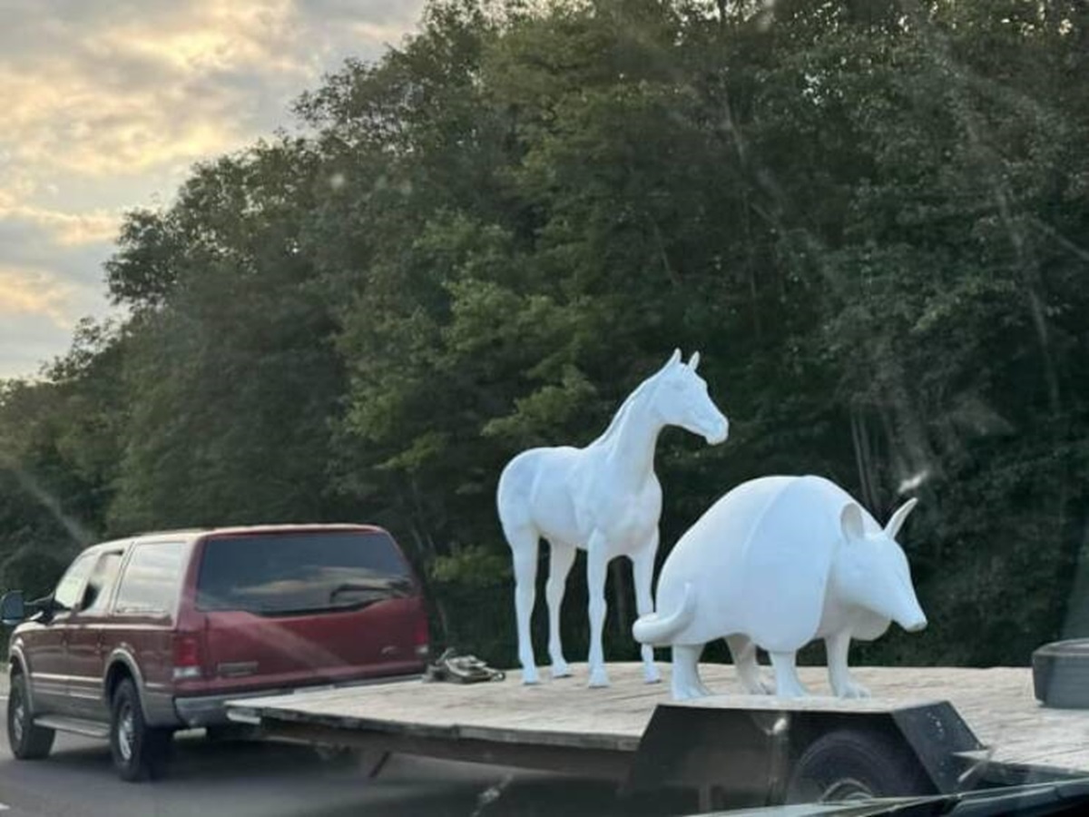 "Armadillo & horse statues on a flatbed at 60mph"