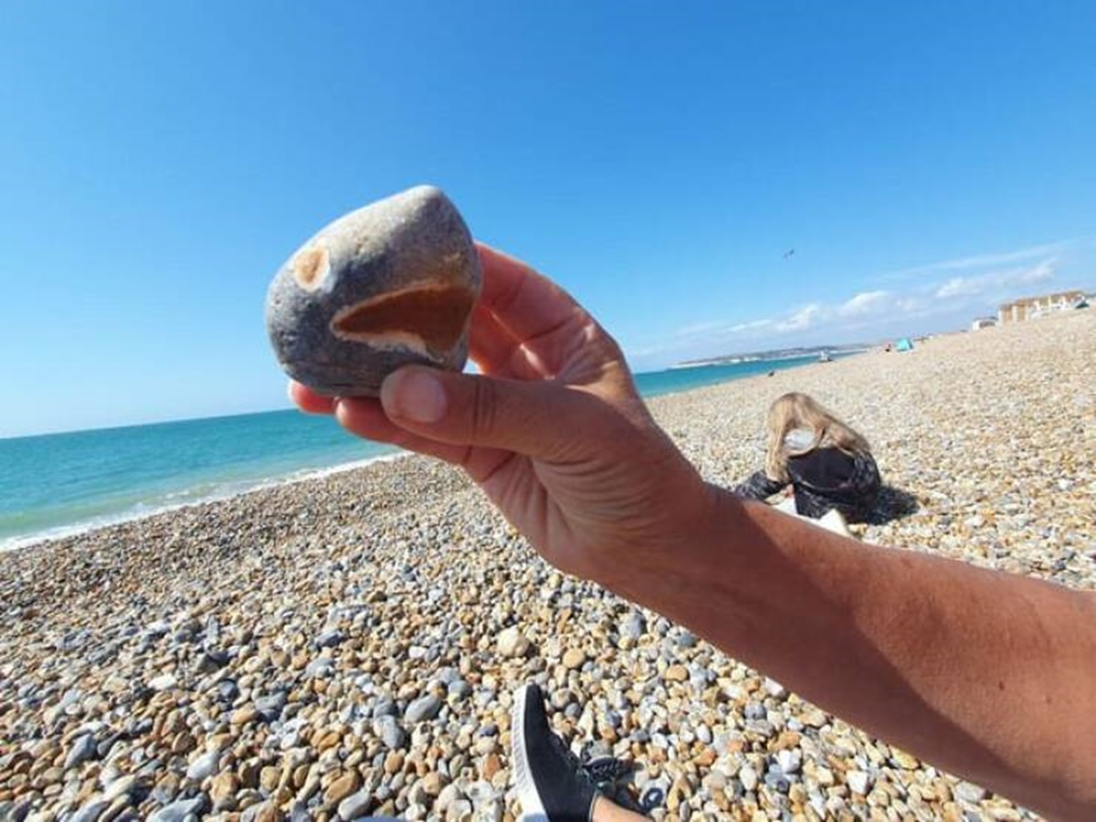 "I found a stone that looks like a shark"