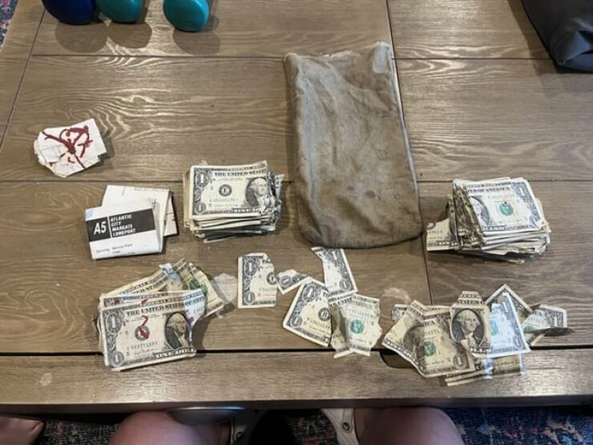 "Found a sack of ripped $1 bills in my basement with a bus route flyer from 1989"