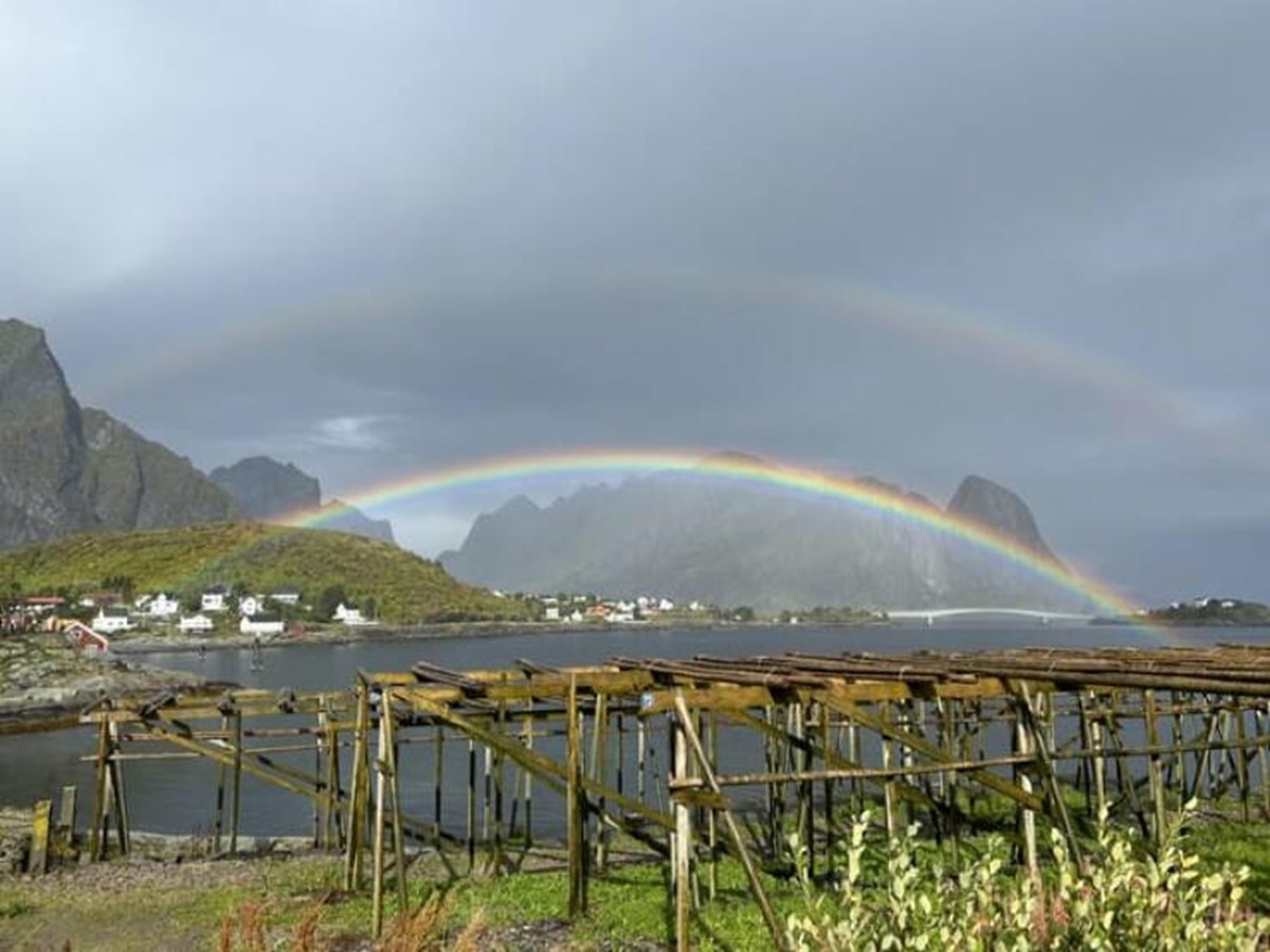 "The most vibrant rainbow I have ever seen. (unedited)"