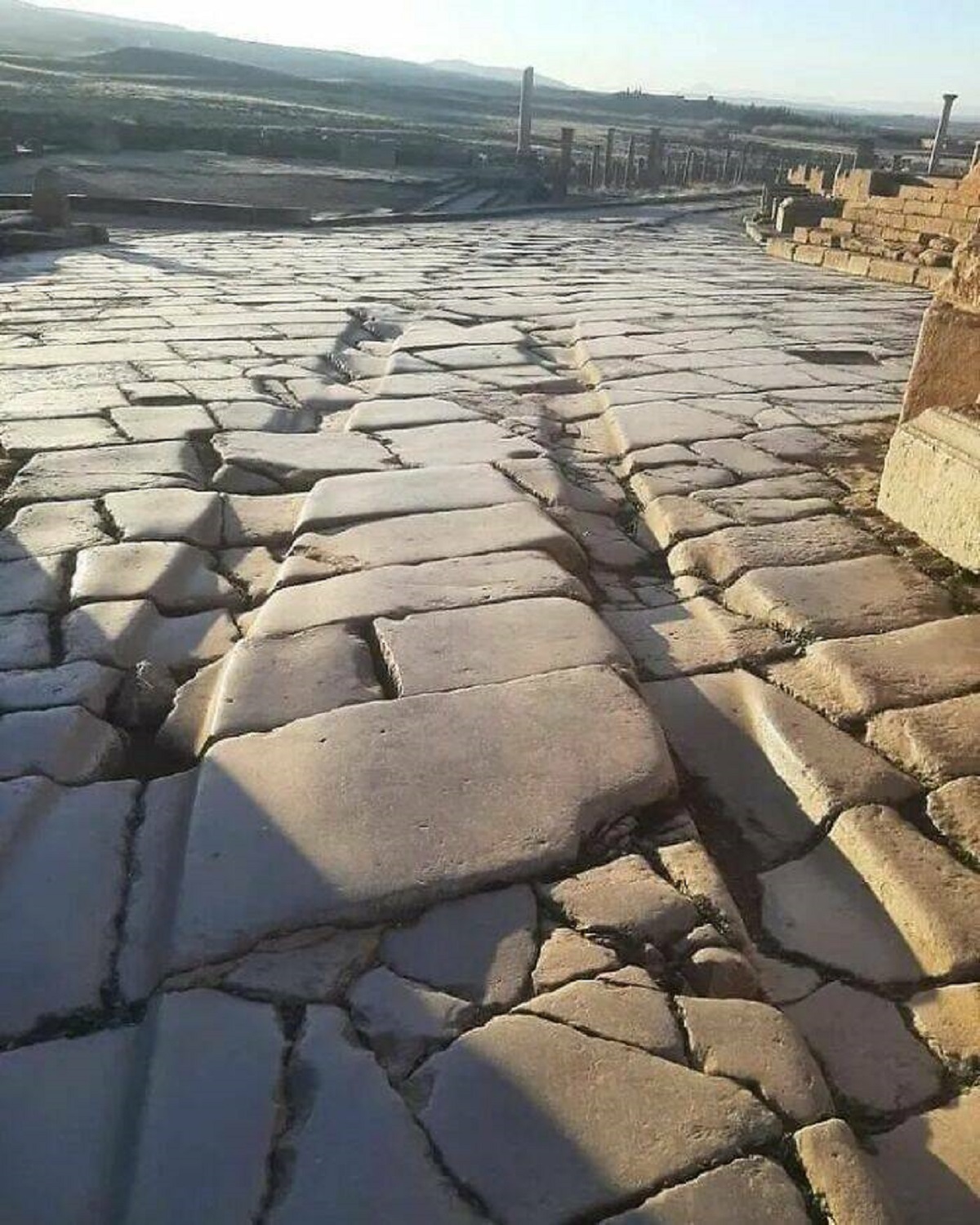 "One Of The Most Fascinating Aspects Of Timgad Is The Visible Tracks Left By Roman Chariots. These Grooves, Worn Into The Stone Streets Over Centuries Of Use, Provide Tangible Evidence Of The City’s Vibrant Past"