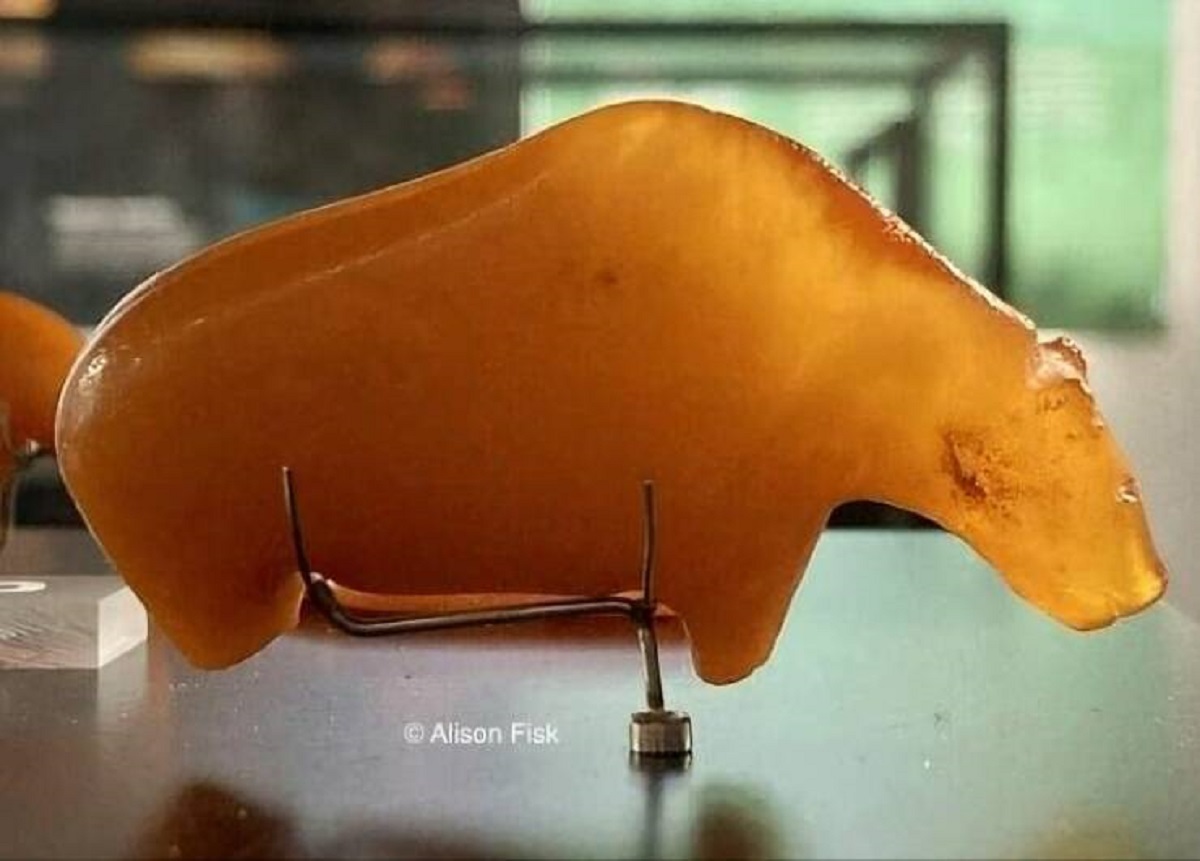 "An Ancient Mesolithic Amber Bear, From About 10,000 Years Ago, Washed Up On The Coast Of Fano In Denmark"