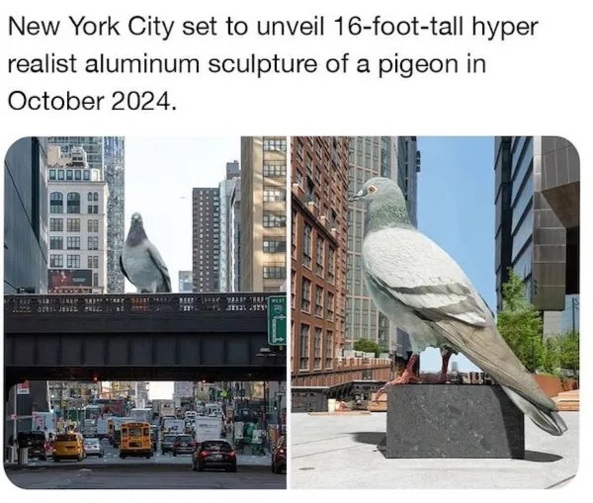 34 Things That Are Just Massive