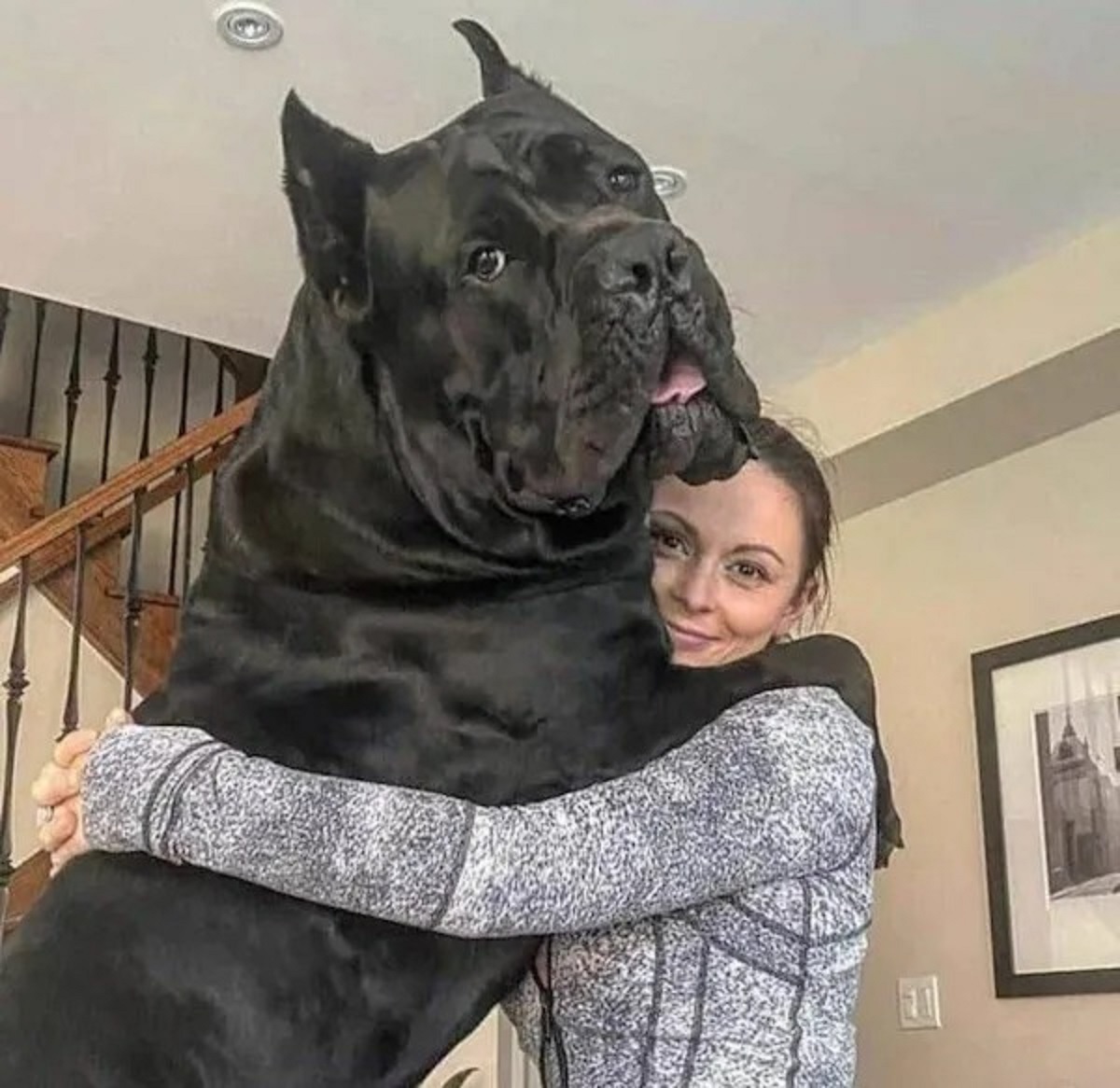 34 Things That Are Just Massive