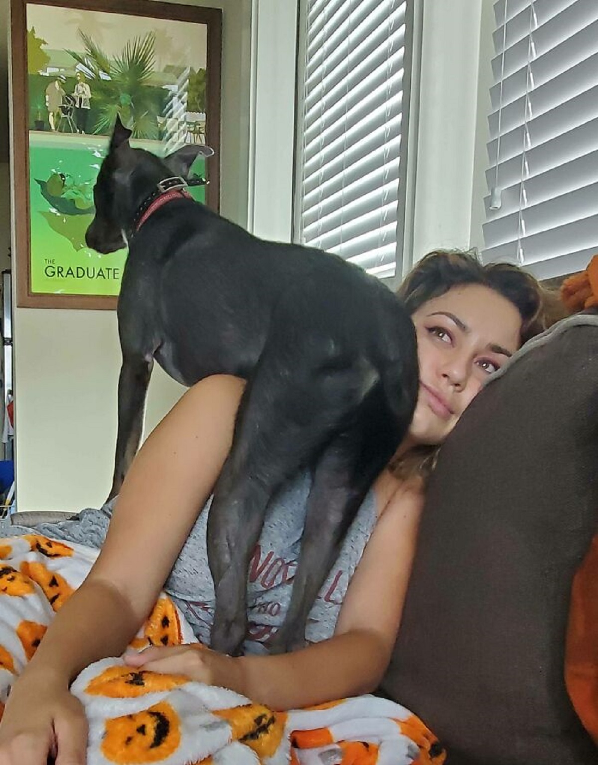 My Roommates Dog Has No Sense Of Personal Space