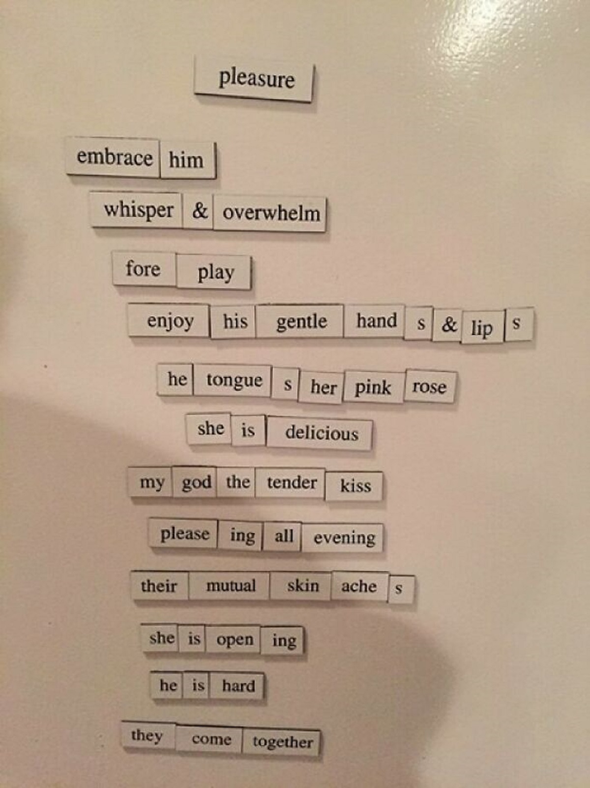 My Roommates And I Write Erotic Fridge Poetry When We Get Drunk