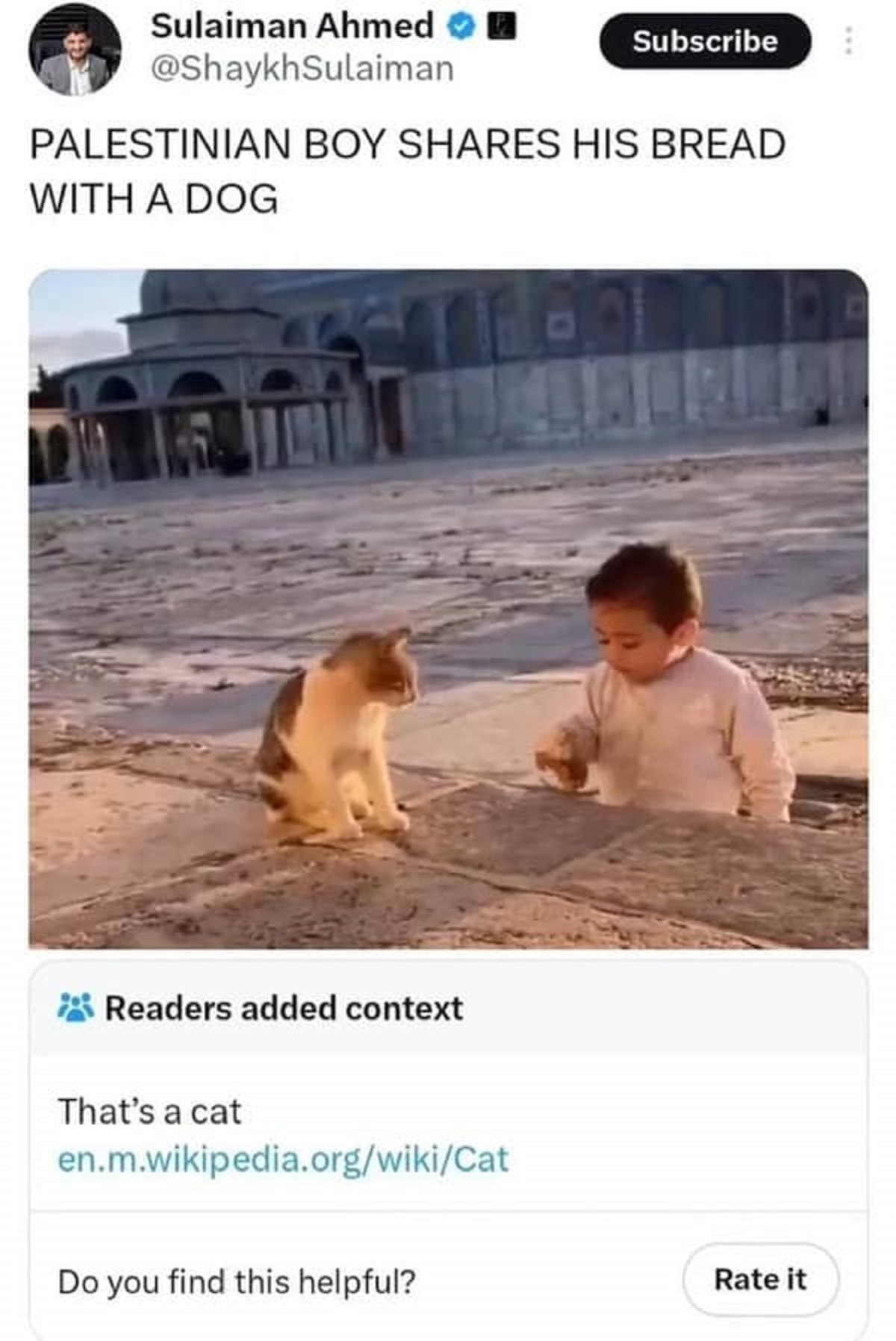 Sulaiman Ahmed Subscribe Palestinian Boy His Bread With A Dog Readers added context That's a cat en.m.wikipedia.orgwikiCat Do you find this helpful? Rate it