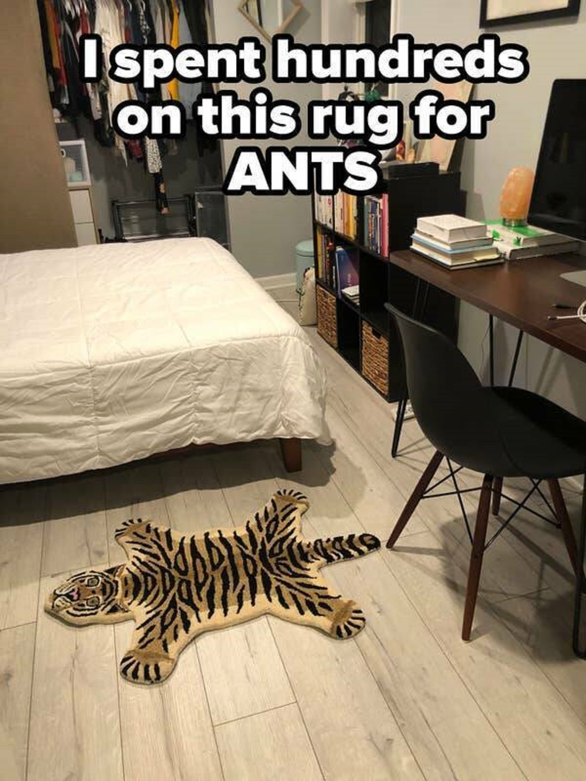 Bedroom - Ispent hundreds on this rug for Ants