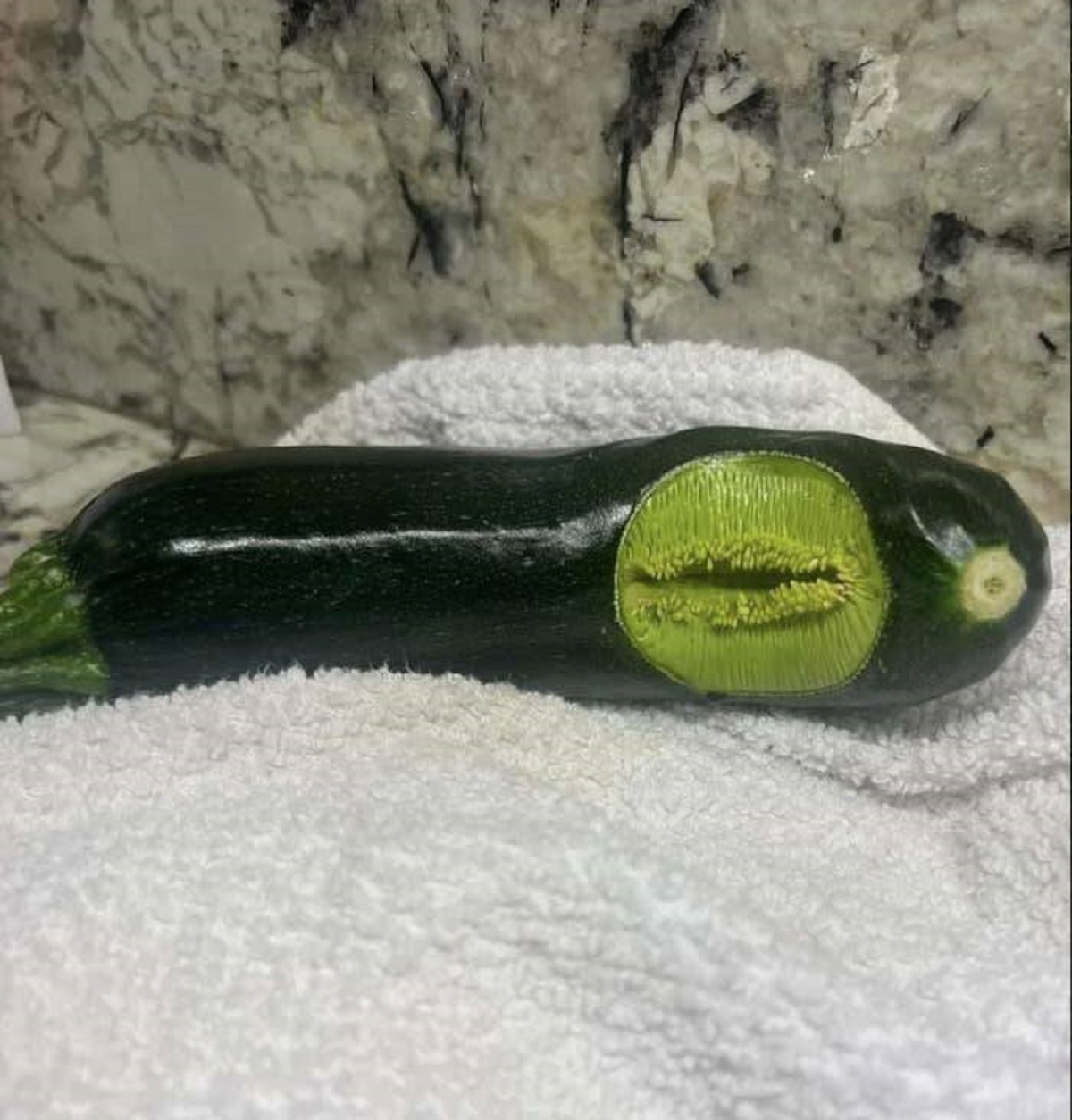 This zucchini that's skin didn't form properly, which is giving a "Veggietales gone wrong" vibe that makes me a lil uncomfortable: