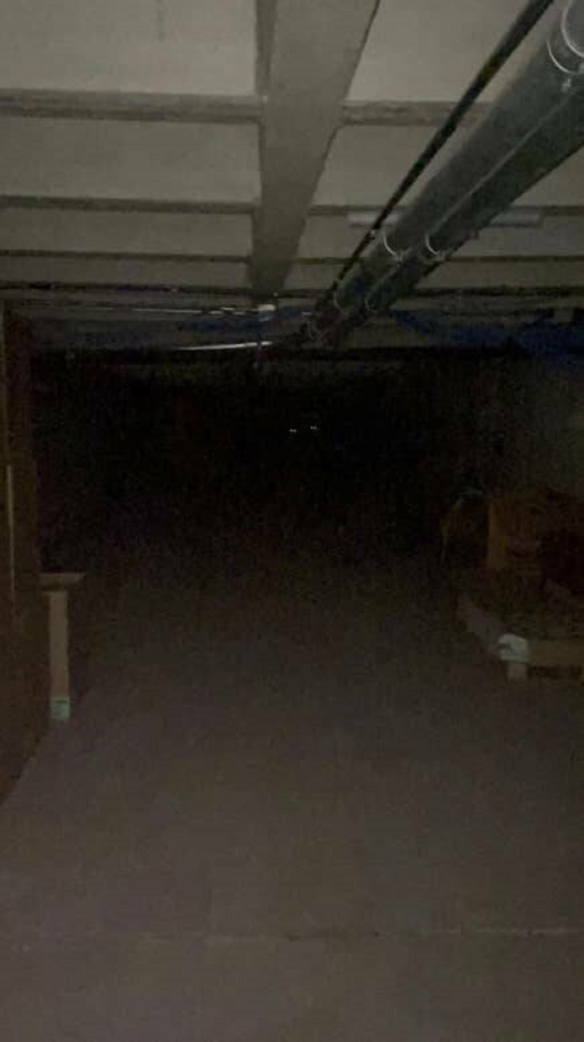 This school employee who took a photo in the campus's basement and realized they miiiiight not be alone down there after all: