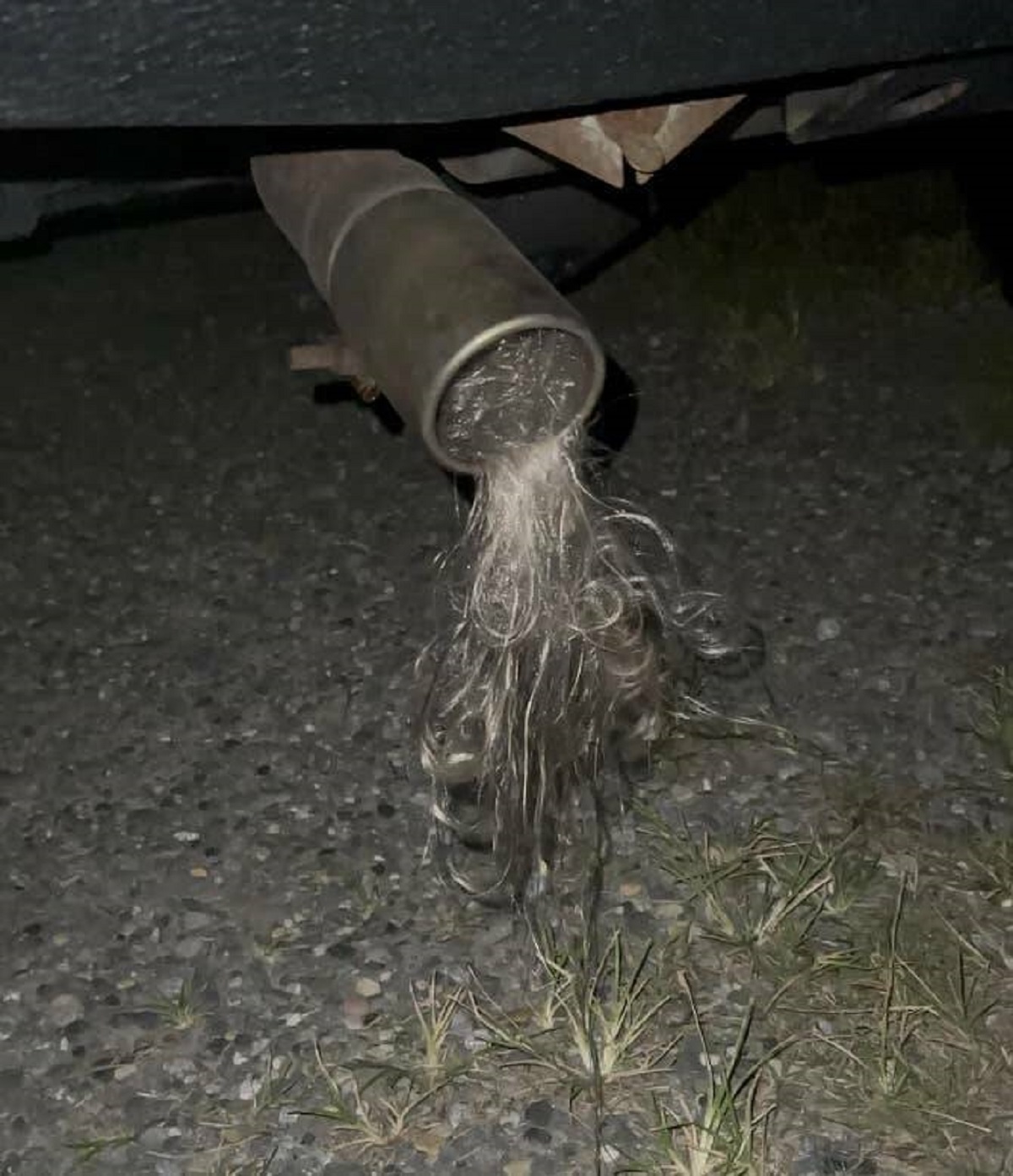 These luscious locks coming from this car's exhaust that I do not like one bit and do not want to think about one second longer!!!