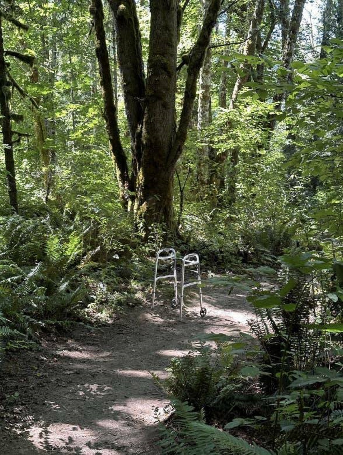 This abandoned walker in the middle of the woods, which I really hope means an absolute miracle happened here and not...something else: