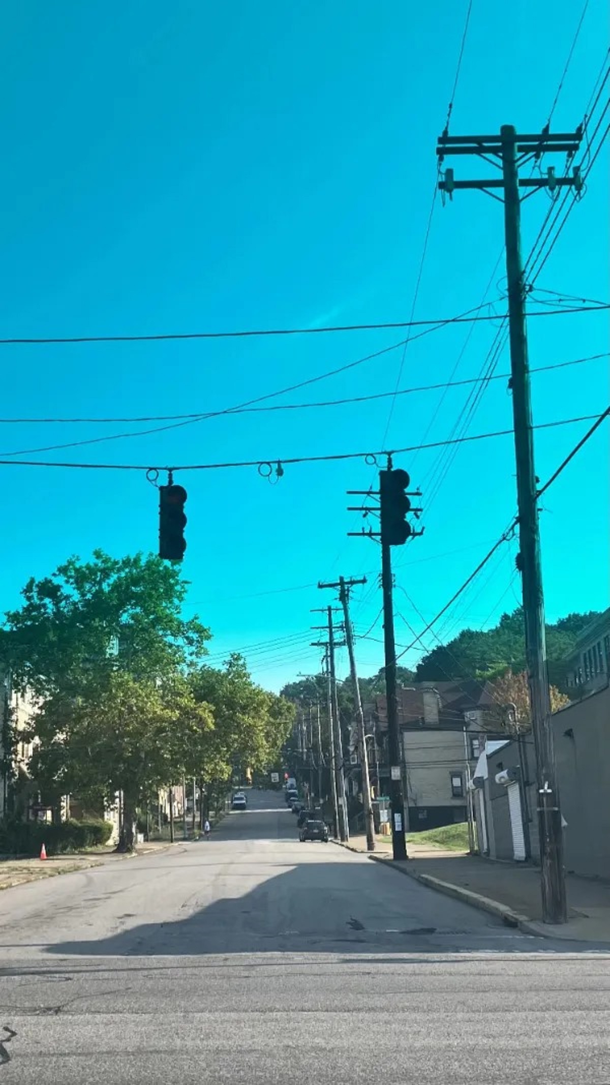 “New windshield completely blocks red lights.”