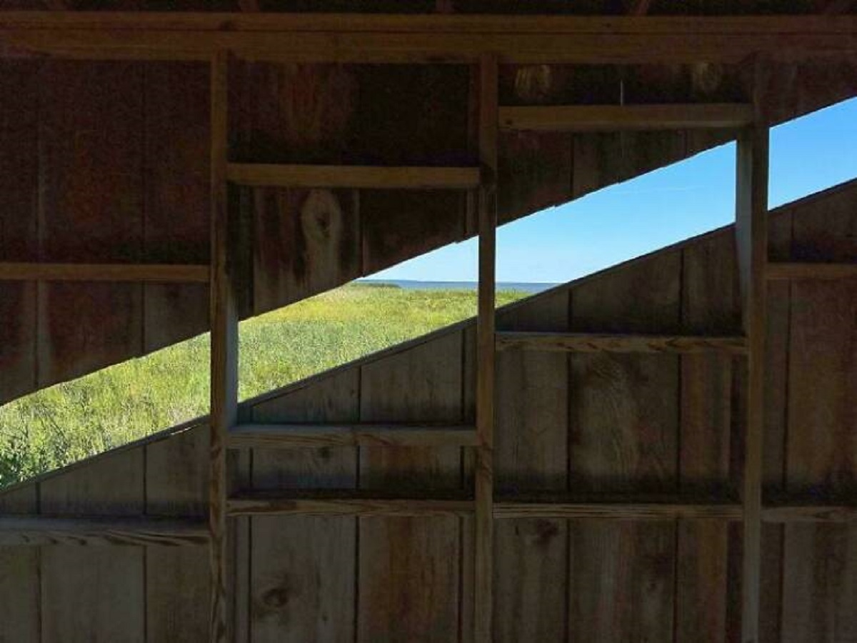 "Wildlife Refuge Has Diagonal Windows In Their Bird Watching Blind As A Simple Solution To Allow People With Diverse Heights And Observation Needs To See Birds And Wildlife In The Nearby Bay"