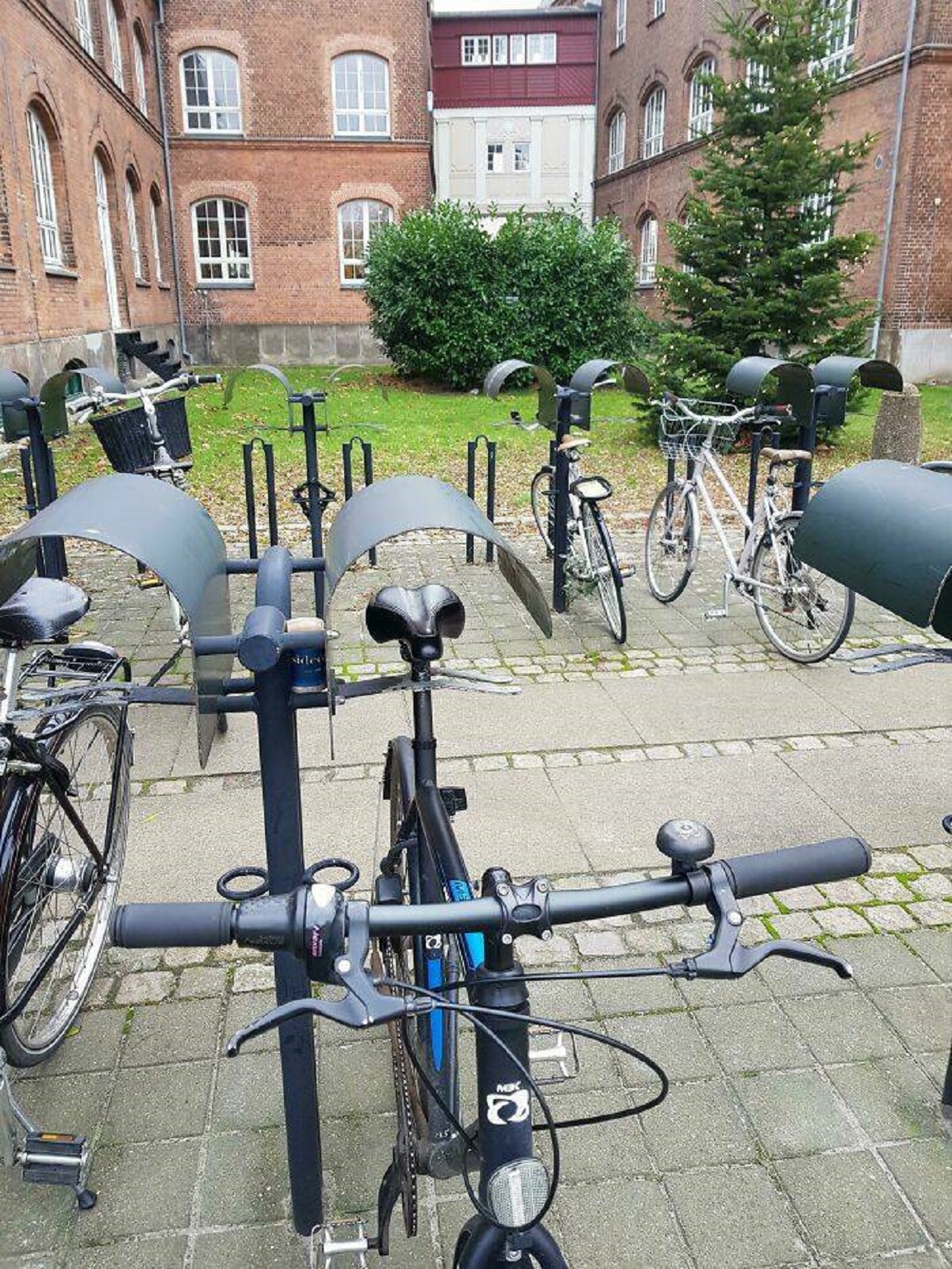 "This Rooftop For Bicycles So The Saddle Won't Get Wet"