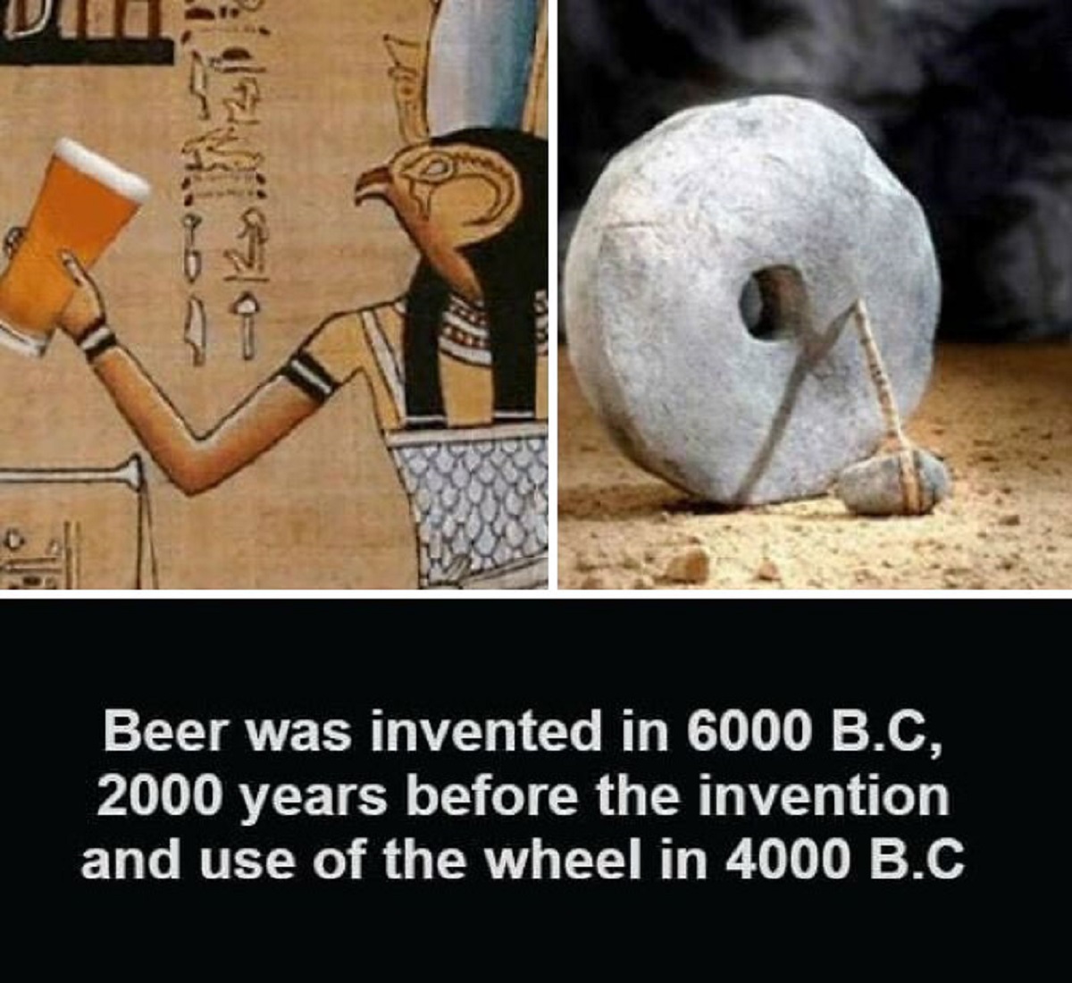 30 Unusual Facts