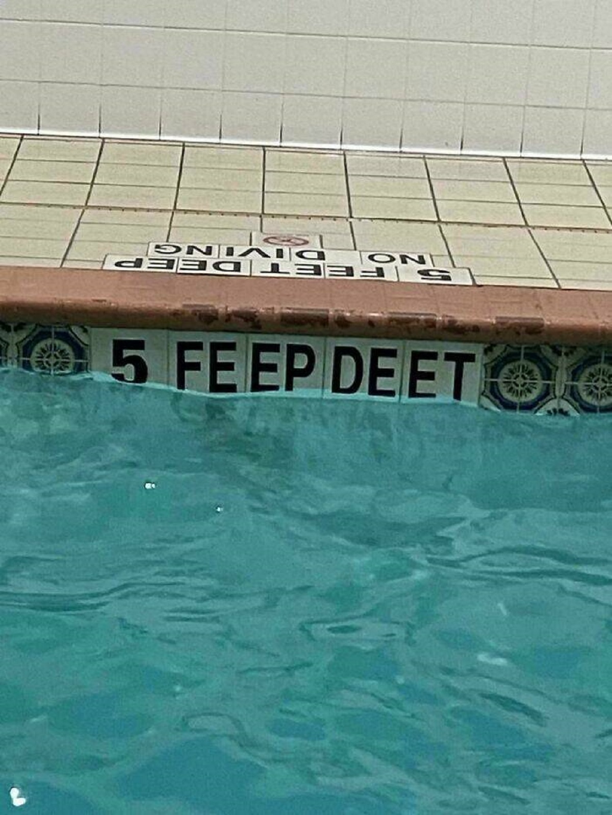 5 feep deet - 5 Feet Deep No Diving