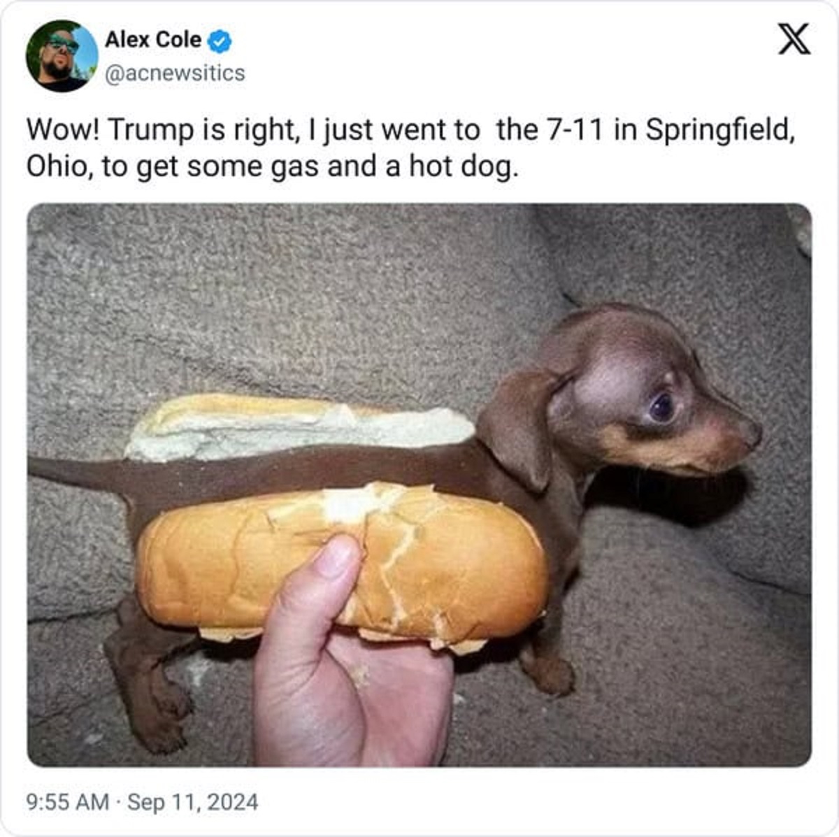 sausage dog in bap - Alex Cole X Wow! Trump is right, I just went to the 711 in Springfield, Ohio, to get some gas and a hot dog.