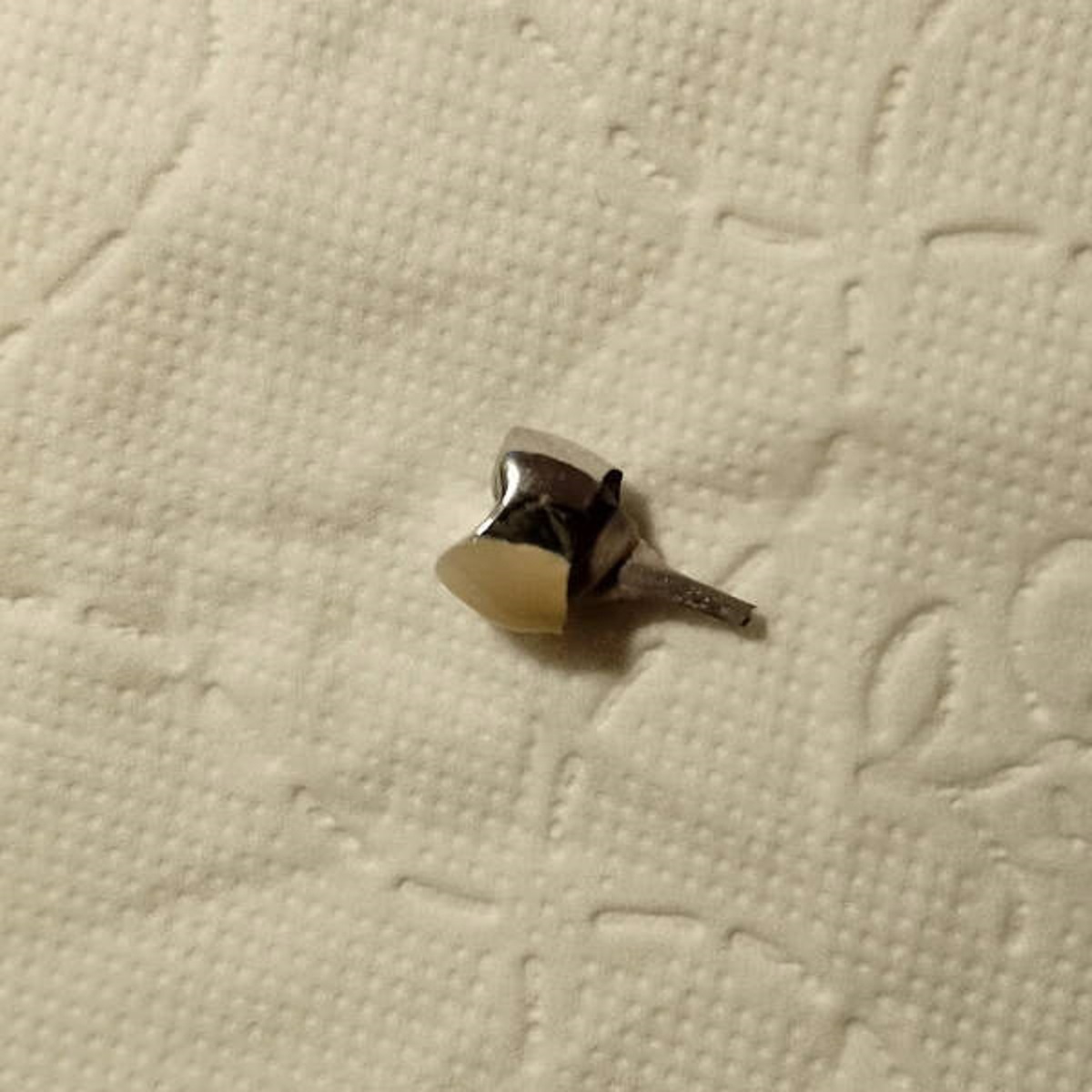 “Felt something odd while eating. Then this fell into my food.”