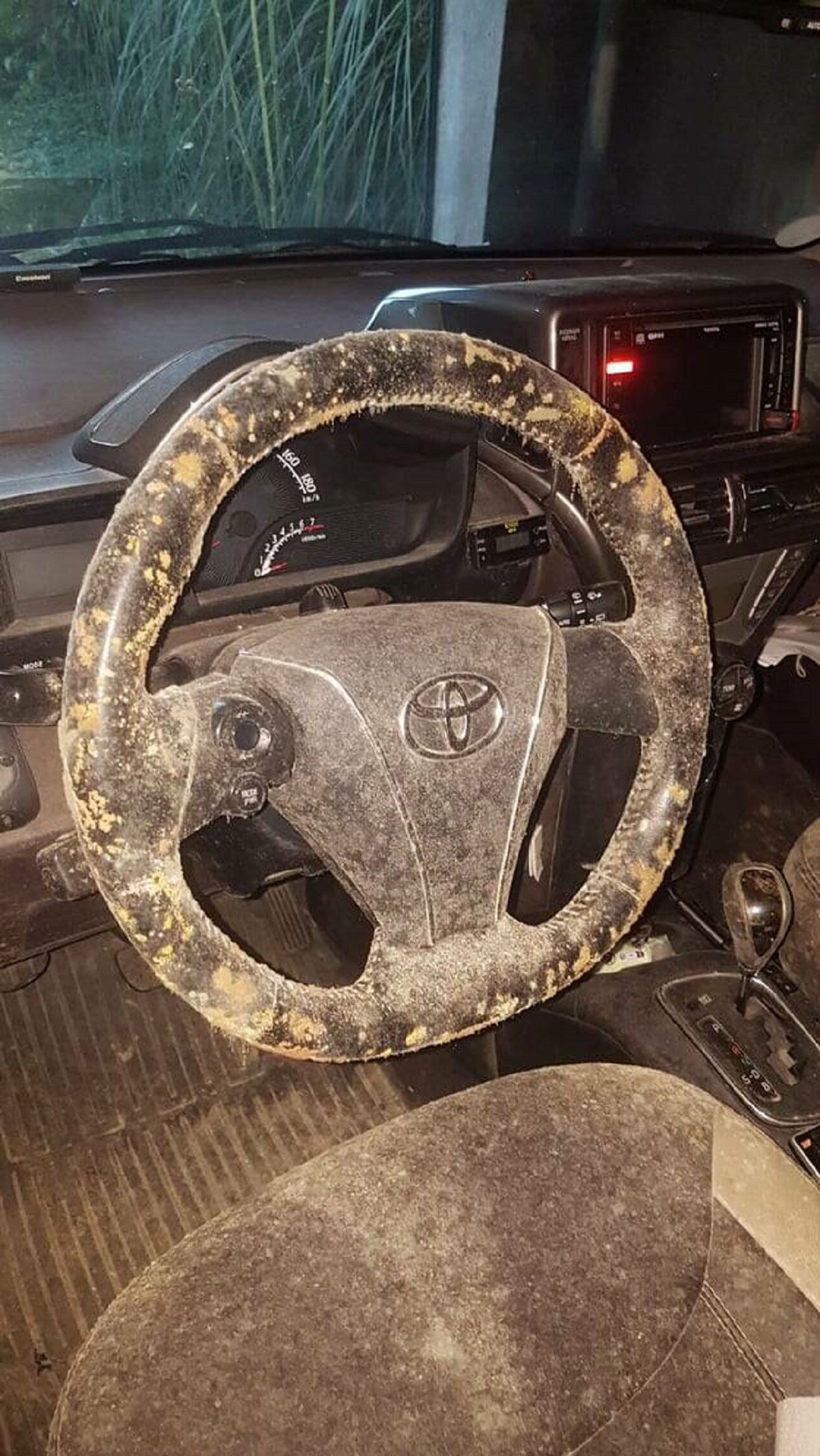 "My mom left her car for 2 months, came back to it covered in mold"