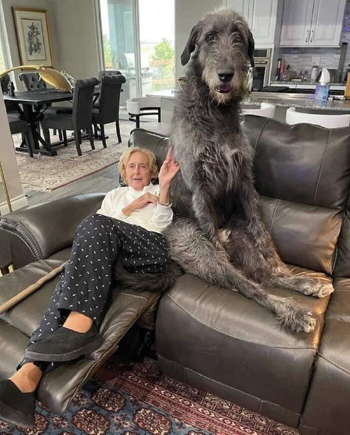 Little Lady Next To A Giant Dog