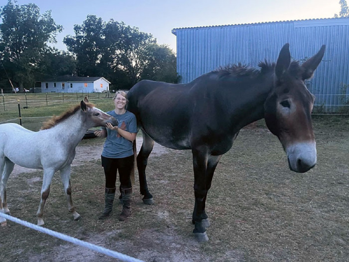 My Baby, Me, And My Sister’s Draft Mule