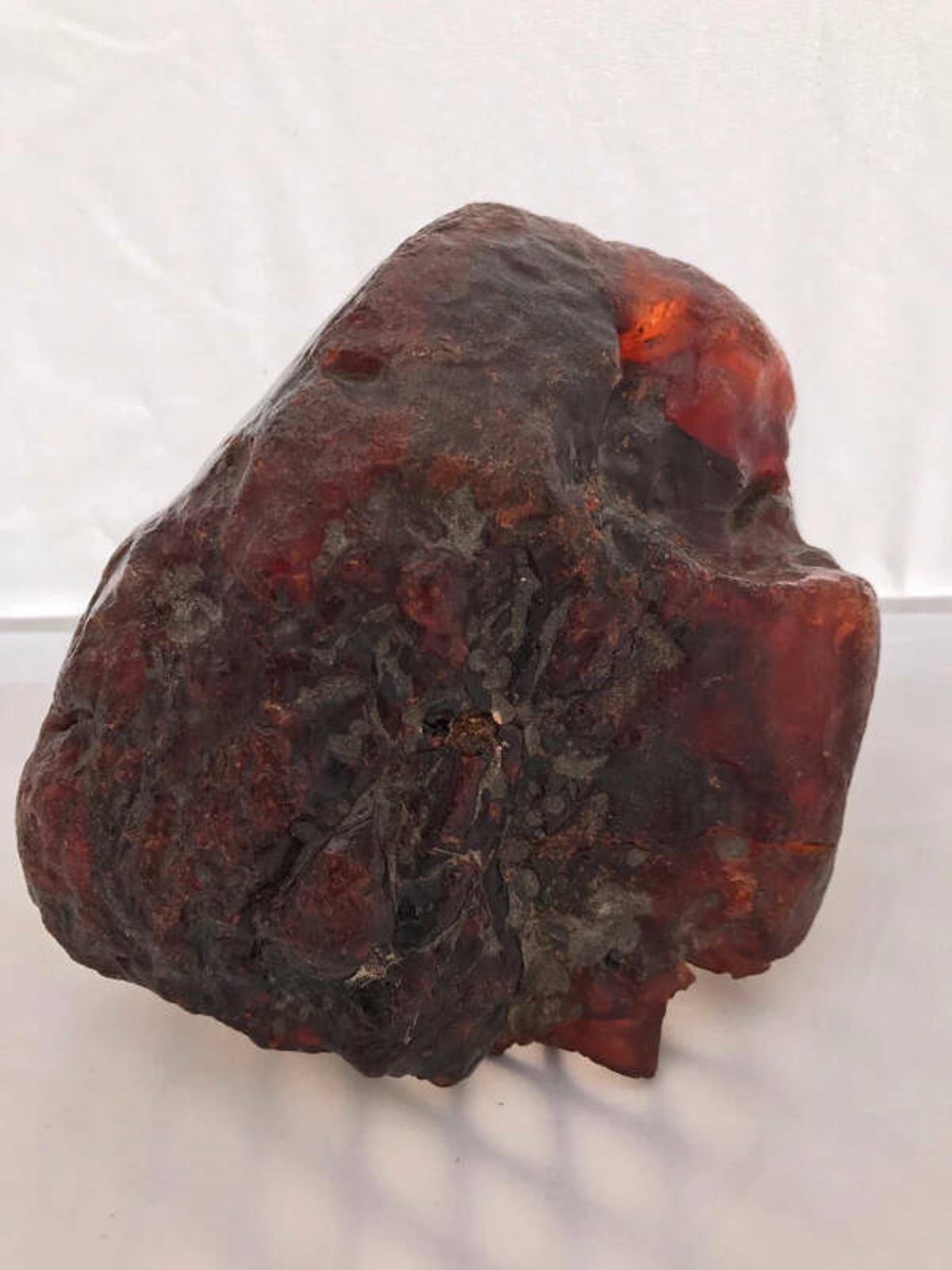 "Elderly Romanian woman used an amber nugget worth over $1 million as a doorstop for decades."