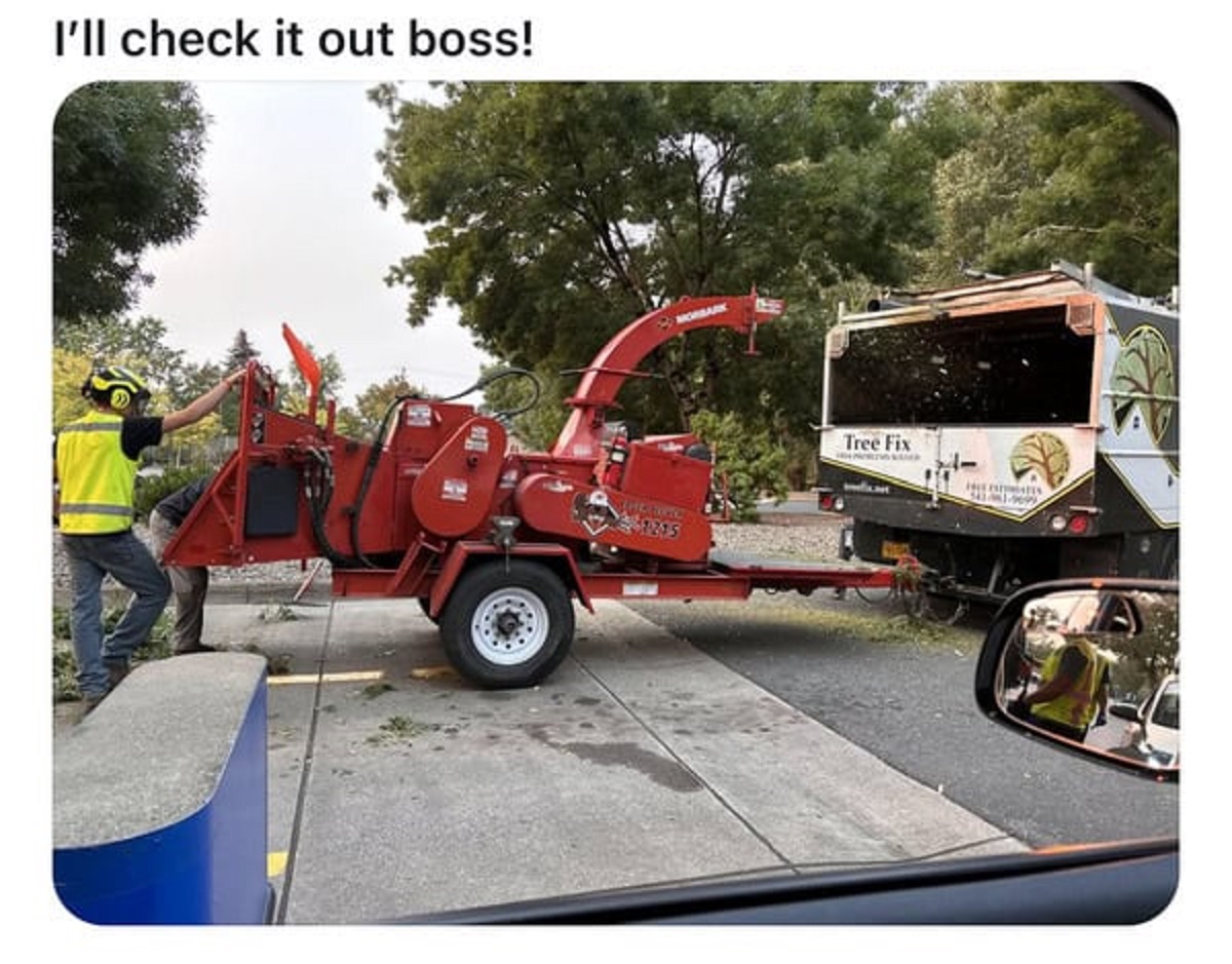 bulldozer - I'll check it out boss! Comorbark 7295 Tree Fix The Patates 54319099