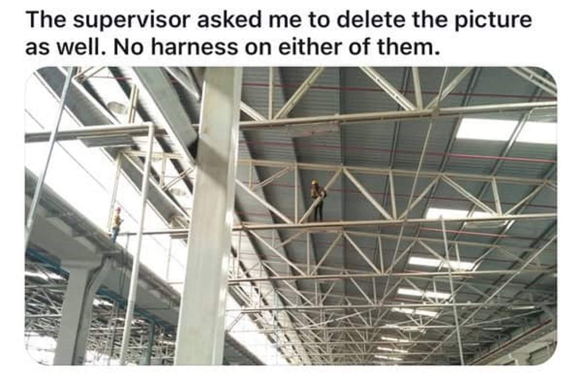 daylighting - The supervisor asked me to delete the picture as well. No harness on either of them.