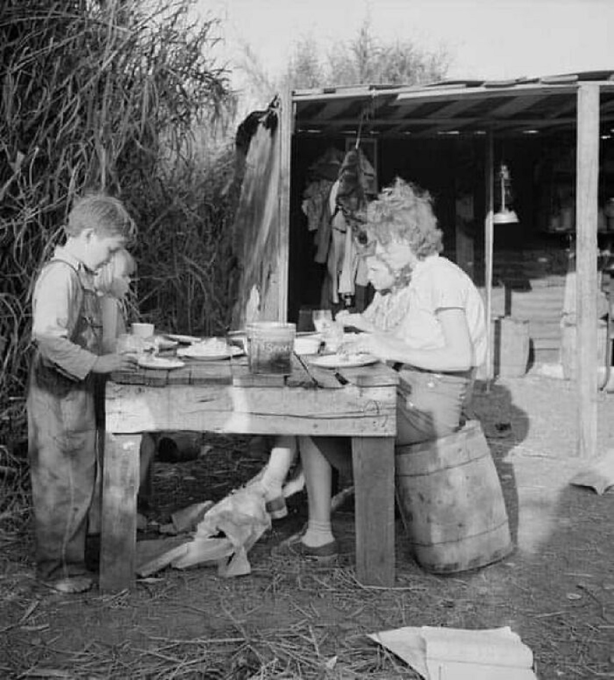 Woman Packinghouse Worker From Tennessee With Three Of Her Four Children Eating Supper Of Fried Potatoes And Cornbread And Canned Milk. Belle Glade, Florida