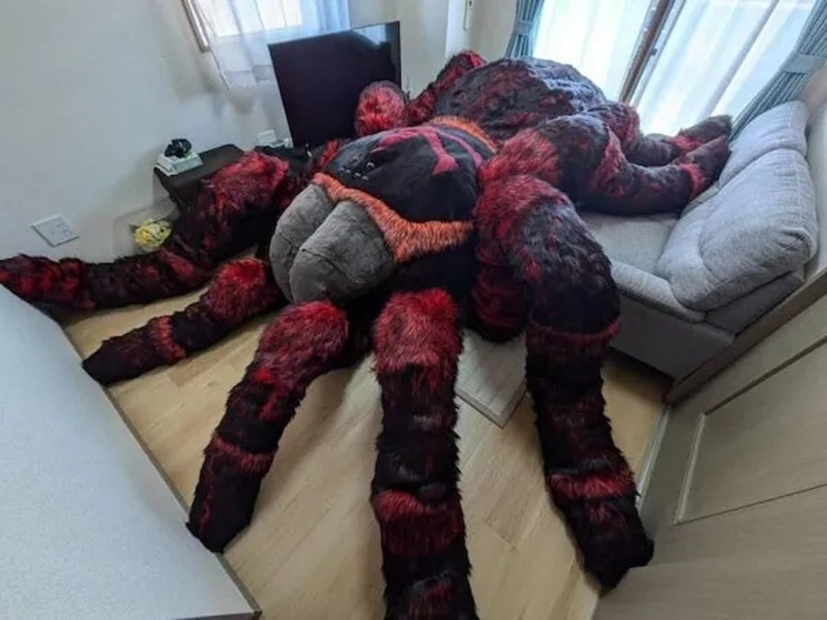 44 Pics Filled With Nope