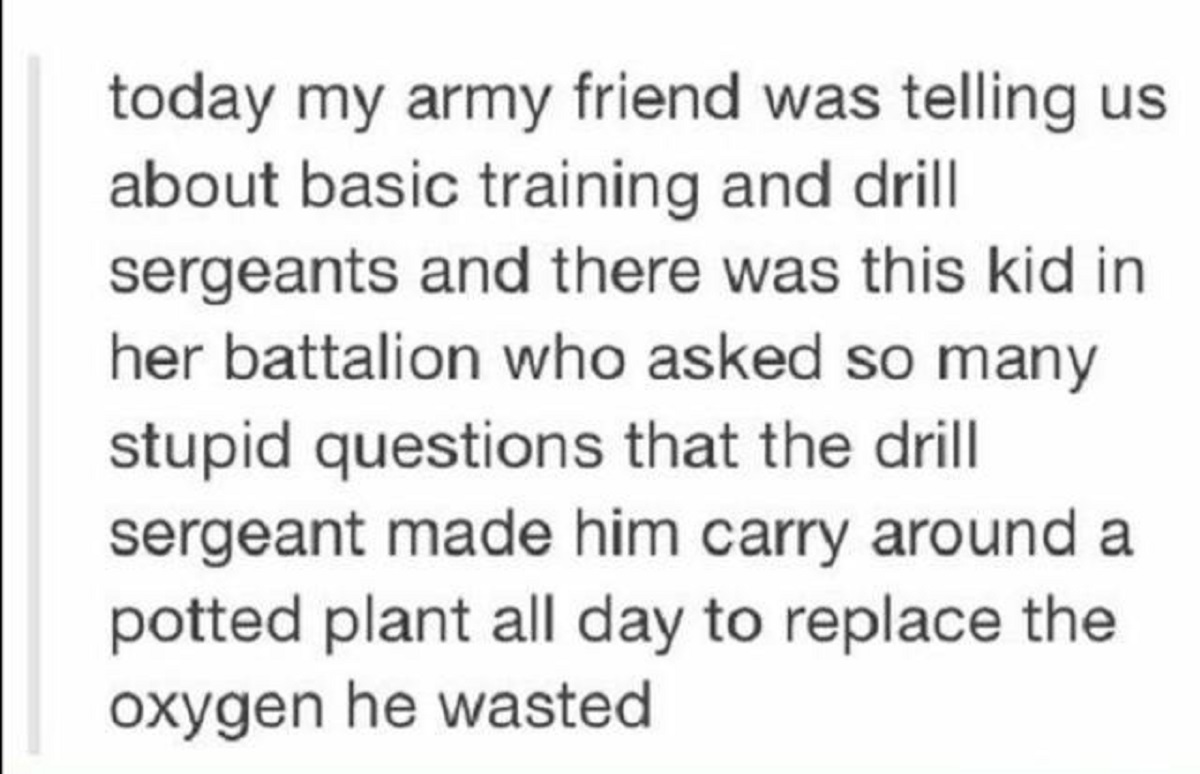 colorfulness - today my army friend was telling us about basic training and drill sergeants and there was this kid in her battalion who asked so many stupid questions that the drill sergeant made him carry around a potted plant all day to replace the oxyg