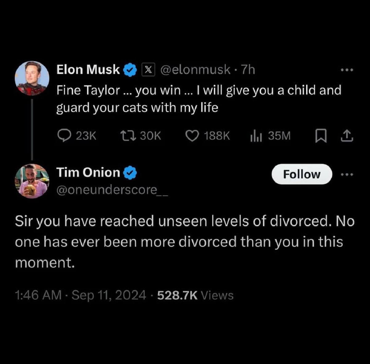 screenshot - Elon Musk X .7h Fine Taylor ... you win ... I will give you a child and guard your cats with my life 23K Tim Onion ili 35M 000 Sir you have reached unseen levels of divorced. No one has ever been more divorced than you in this moment. . Views