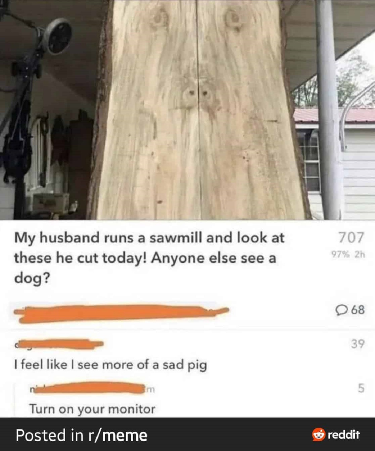 my husband runs a sawmill - My husband runs a sawmill and look at these he cut today! Anyone else see a dog? 707 97% 2h 68 I feel I see more of a sad pig m Turn on your monitor Posted in rmeme 39 reddit 5