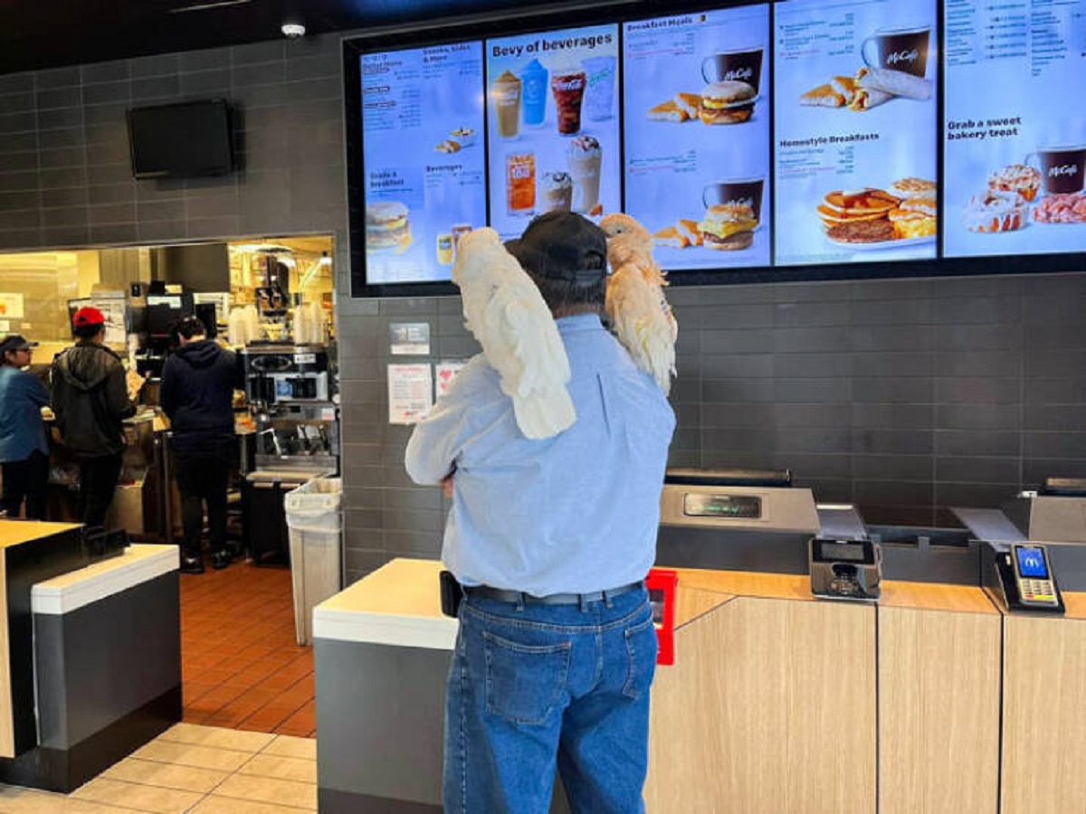 "At First, I Thought This Guy With Two Birds At McDonald’s Was Really Cool. But Then, One Of The Birds Pooped On The Counter And Floor And He Did Absolutely Nothing To Clean It Up"