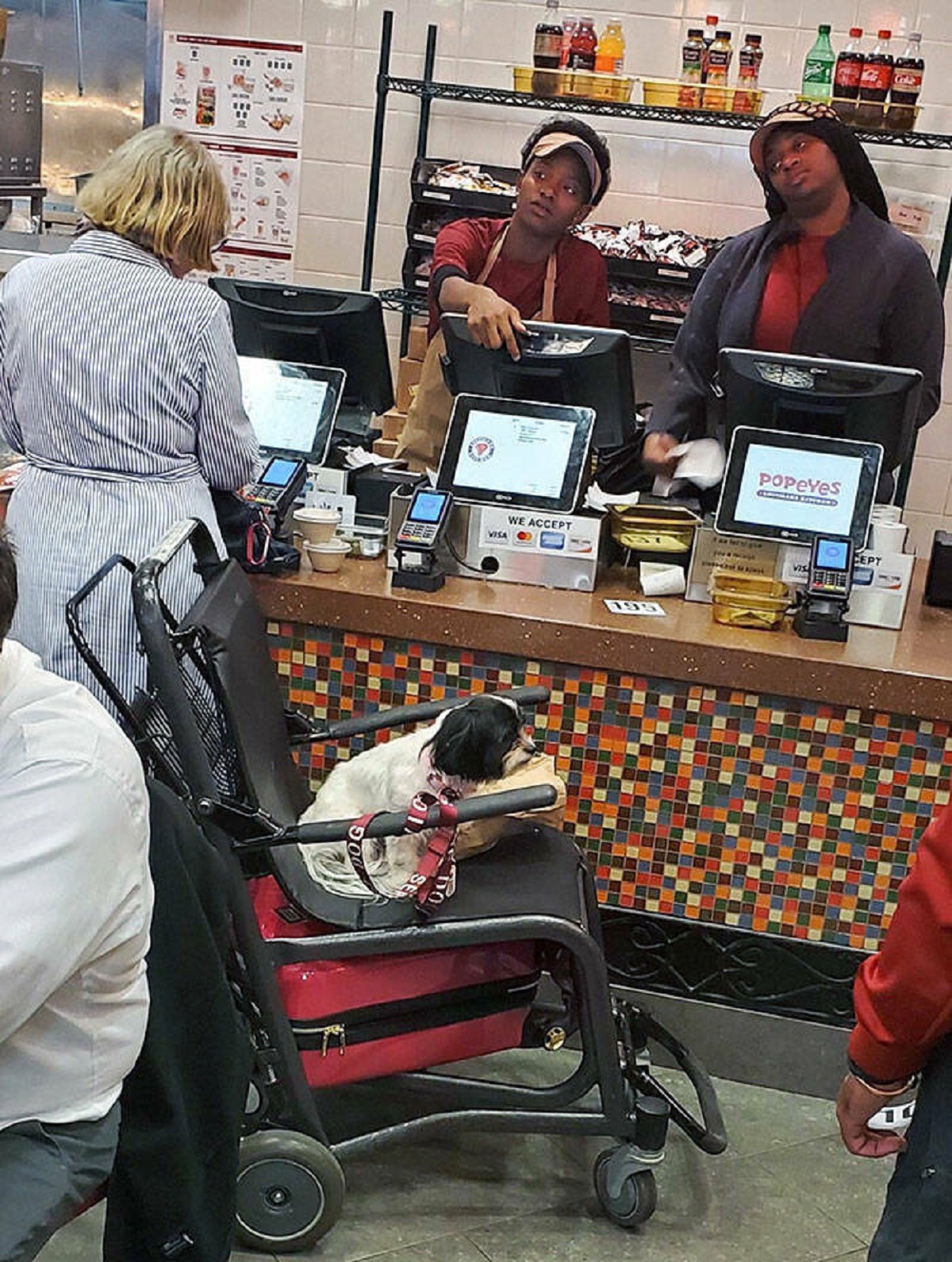 "Blocking The Second Register With Your Service Dog At The Airport"