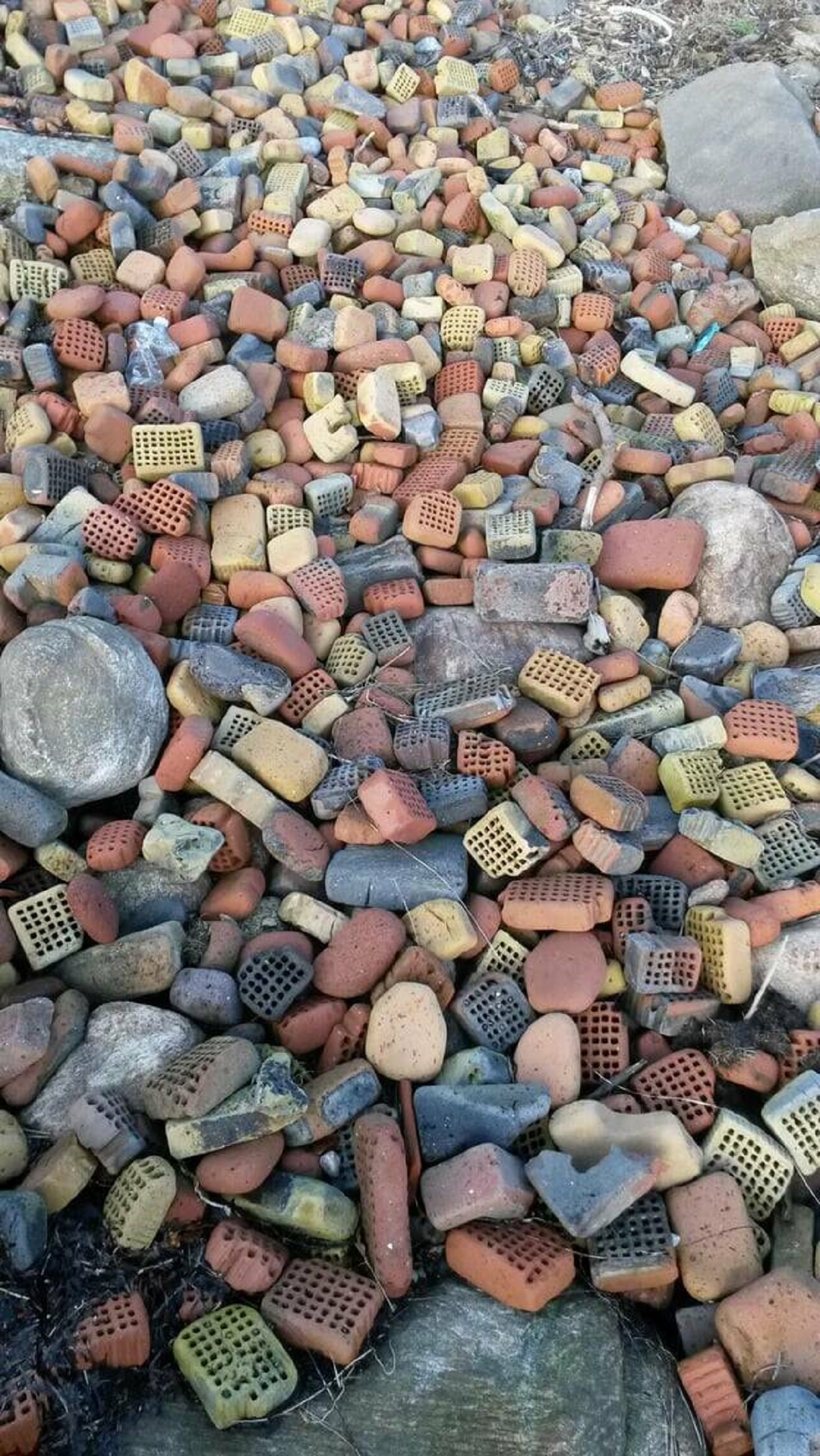 "This beach used to have a brick factory on it, now it's covered in weathered bricks"