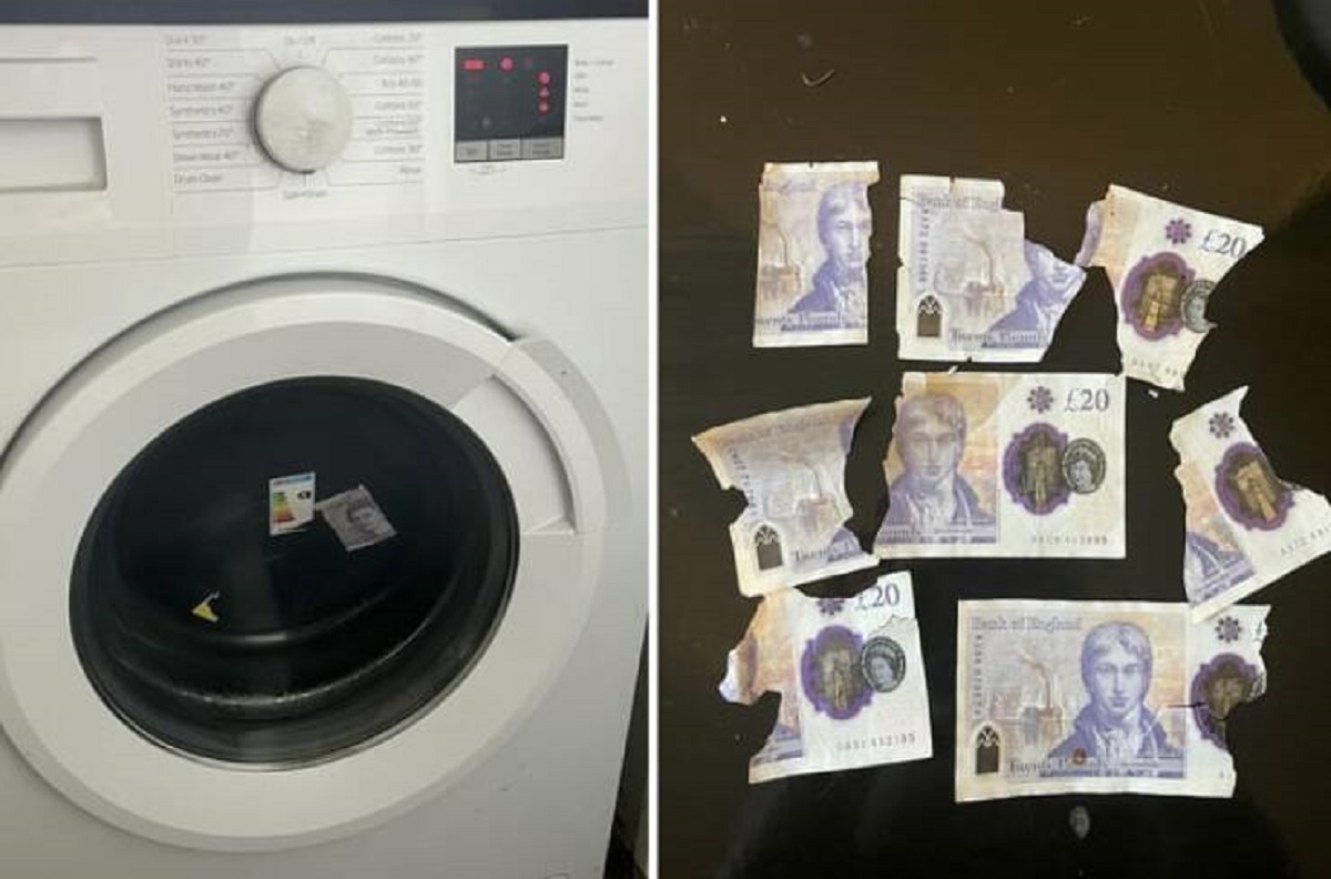 "Over £120 has appeared from my washing machine in the form of torn £20 notes over several washes"