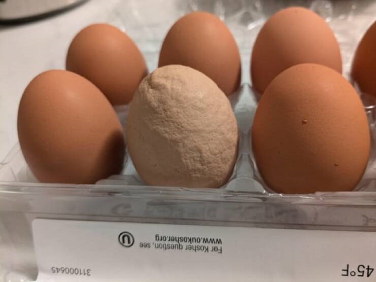 "The carton of eggs I bought contains one super wrinkly one"