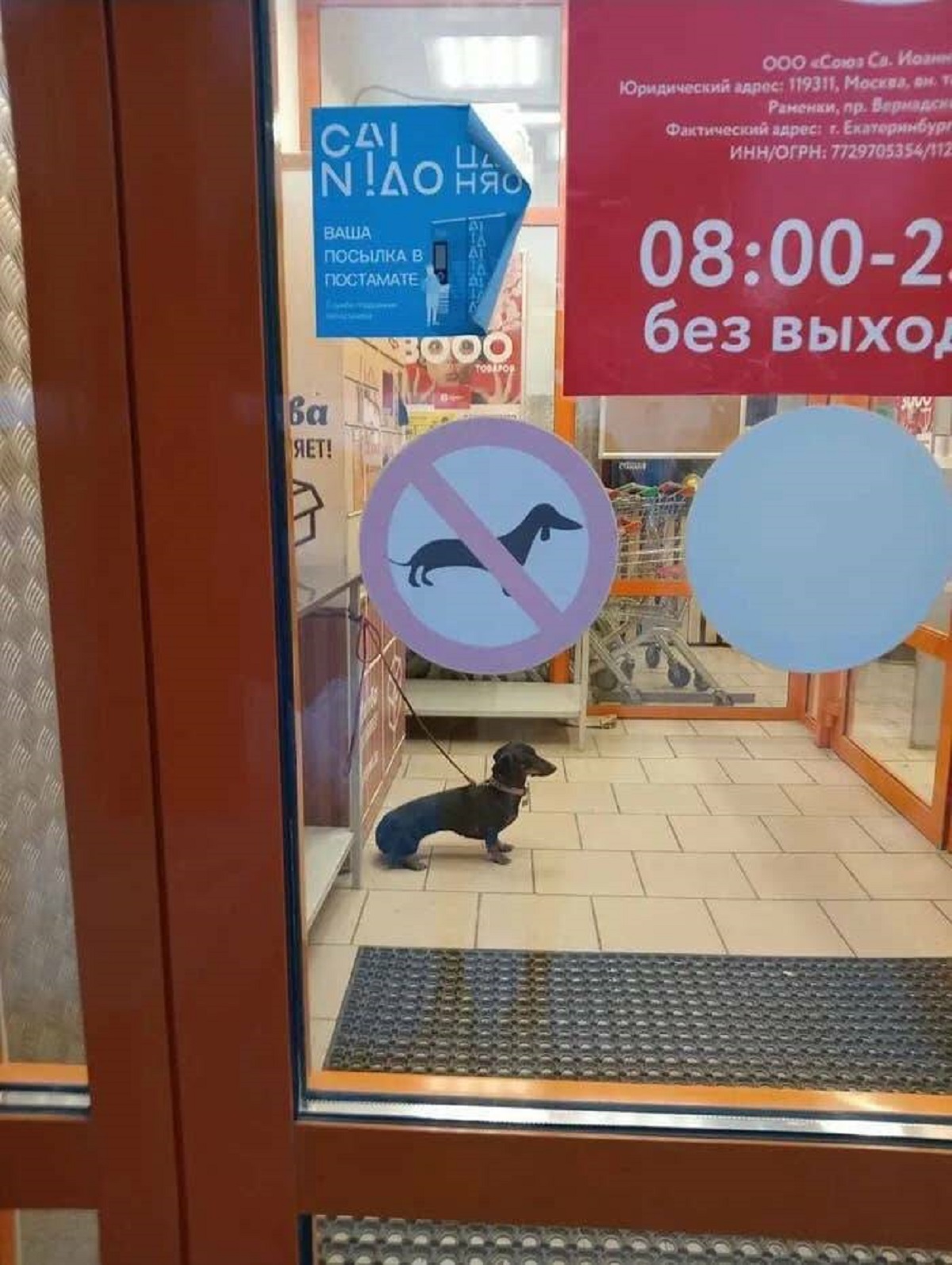 This person didn't get their pet wasn't allowed indoors — despite there being a sign forbidding their EXACT dog: