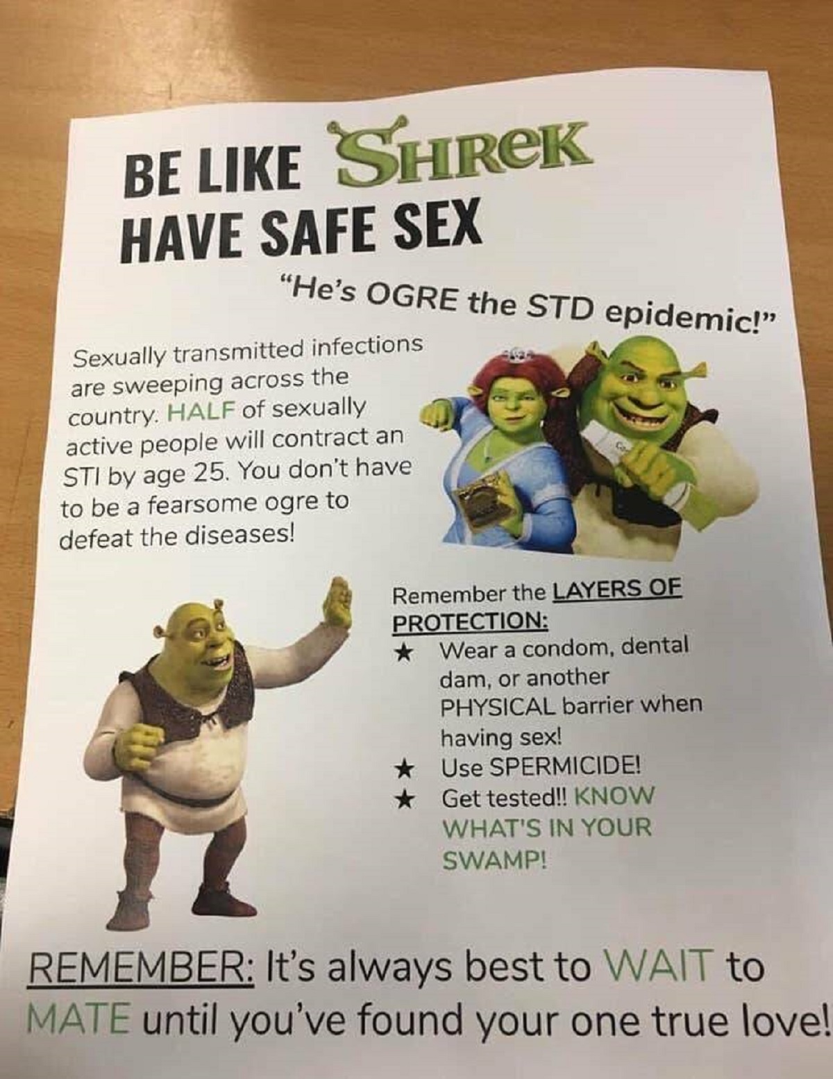 This person didn't get that Shrek might not be the best character to use for a safe sex pamphlet: